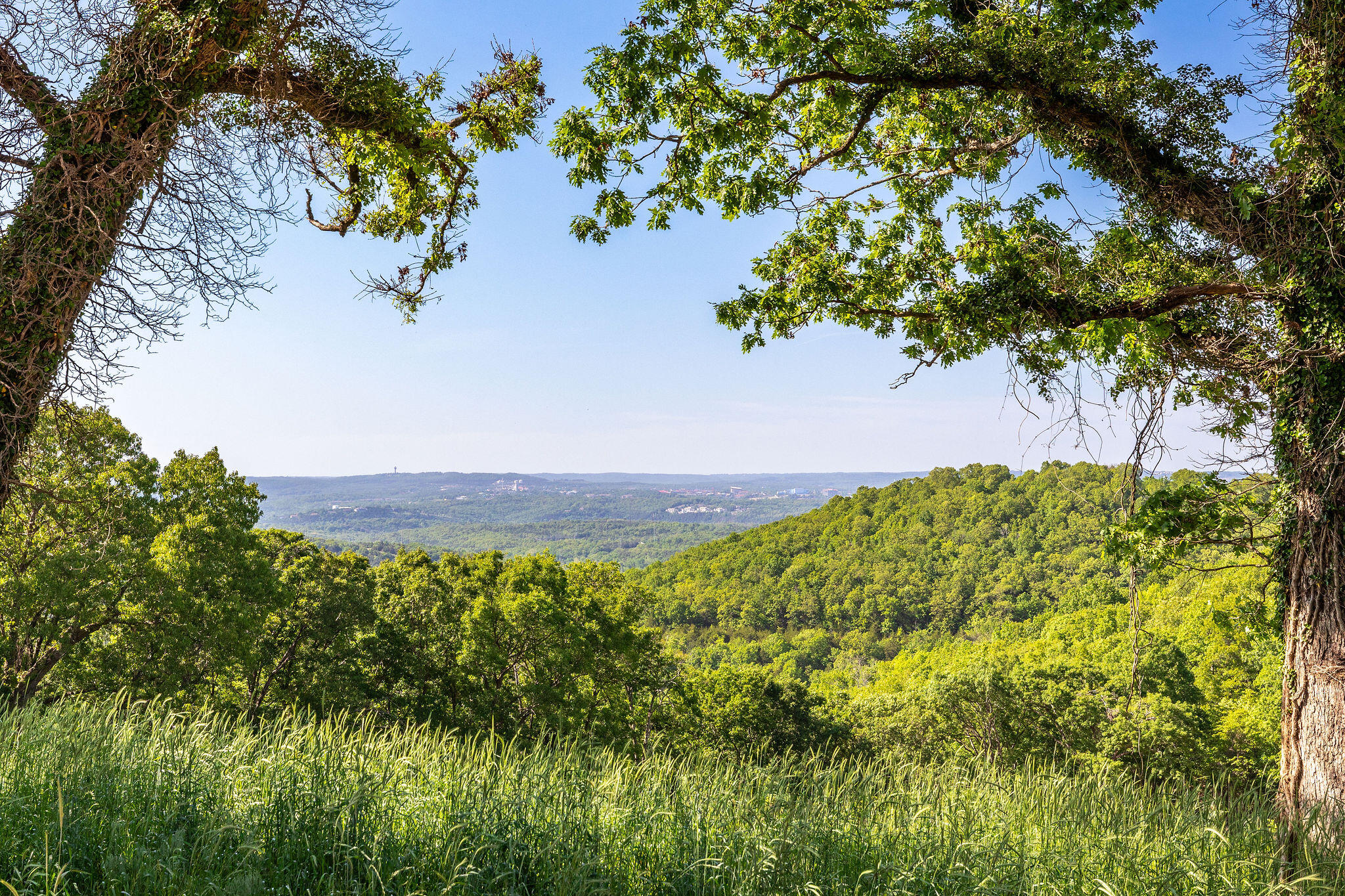 130 Pig Trail Property Photo 2