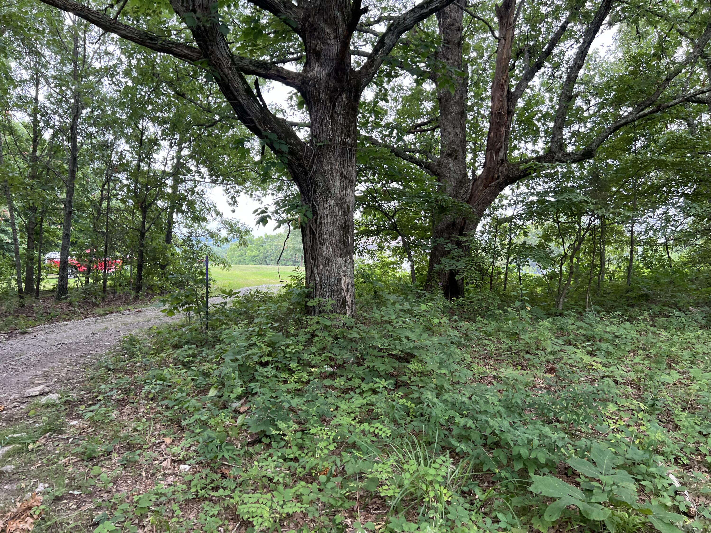 6548 Co Property Photo 26
