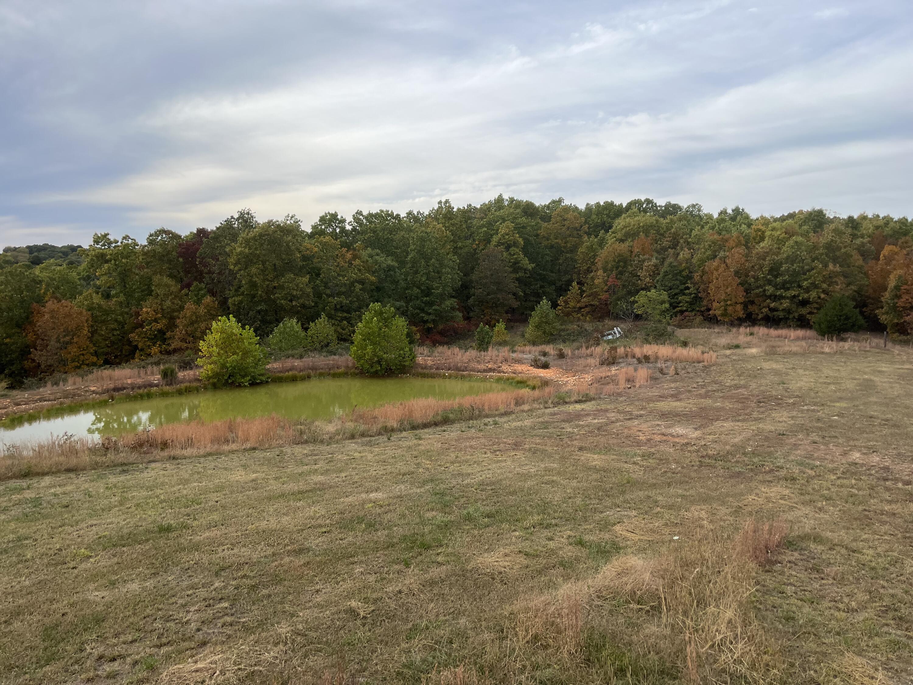 6548 Co Property Photo 31