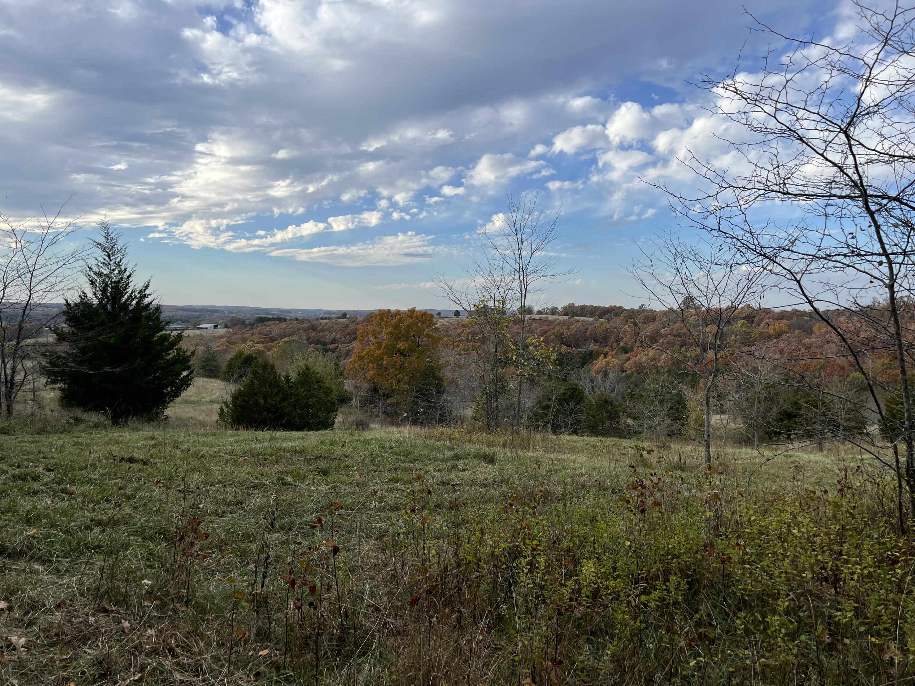 6548 Co Property Photo 32