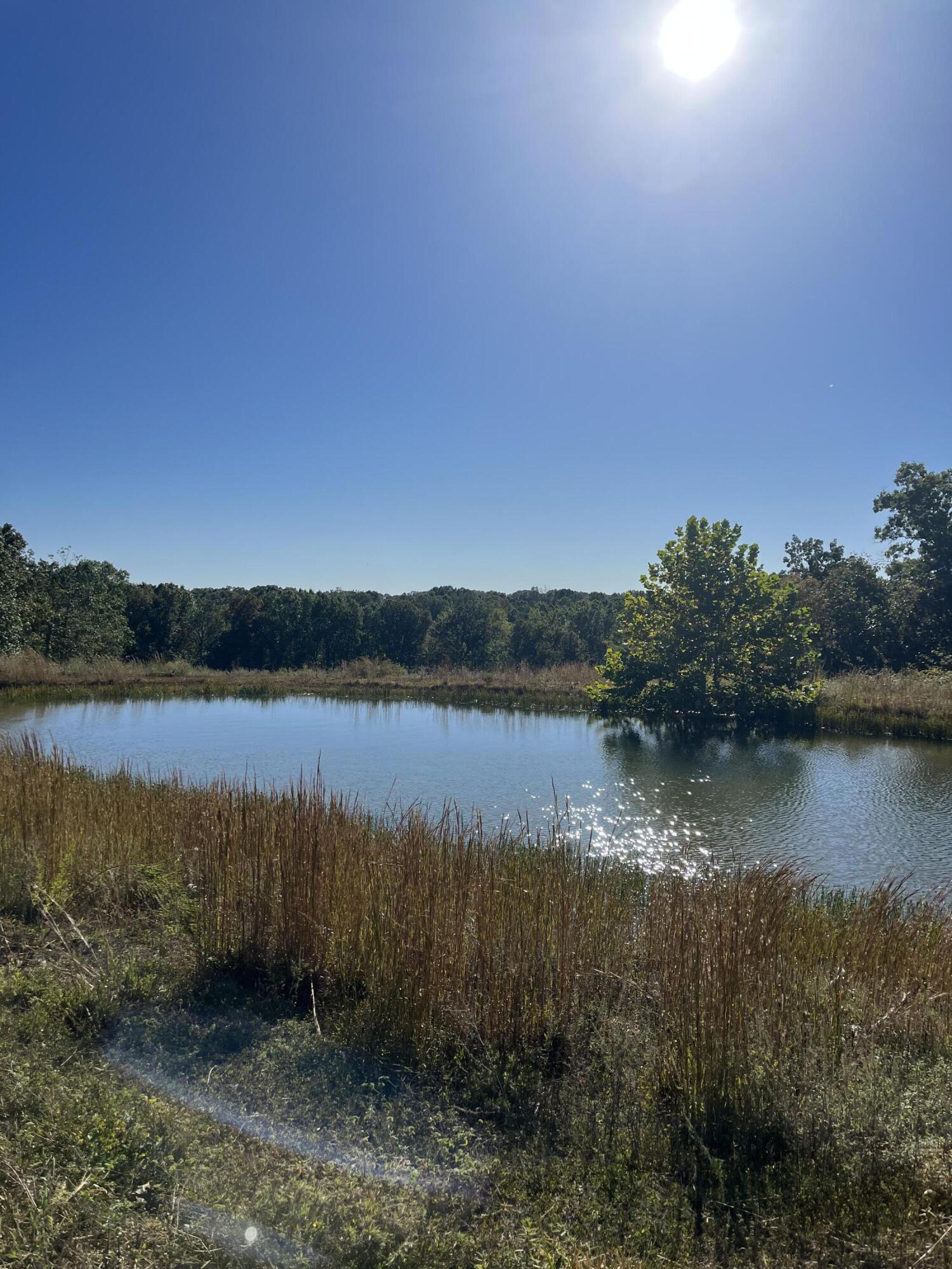 6548 Co Property Photo 33