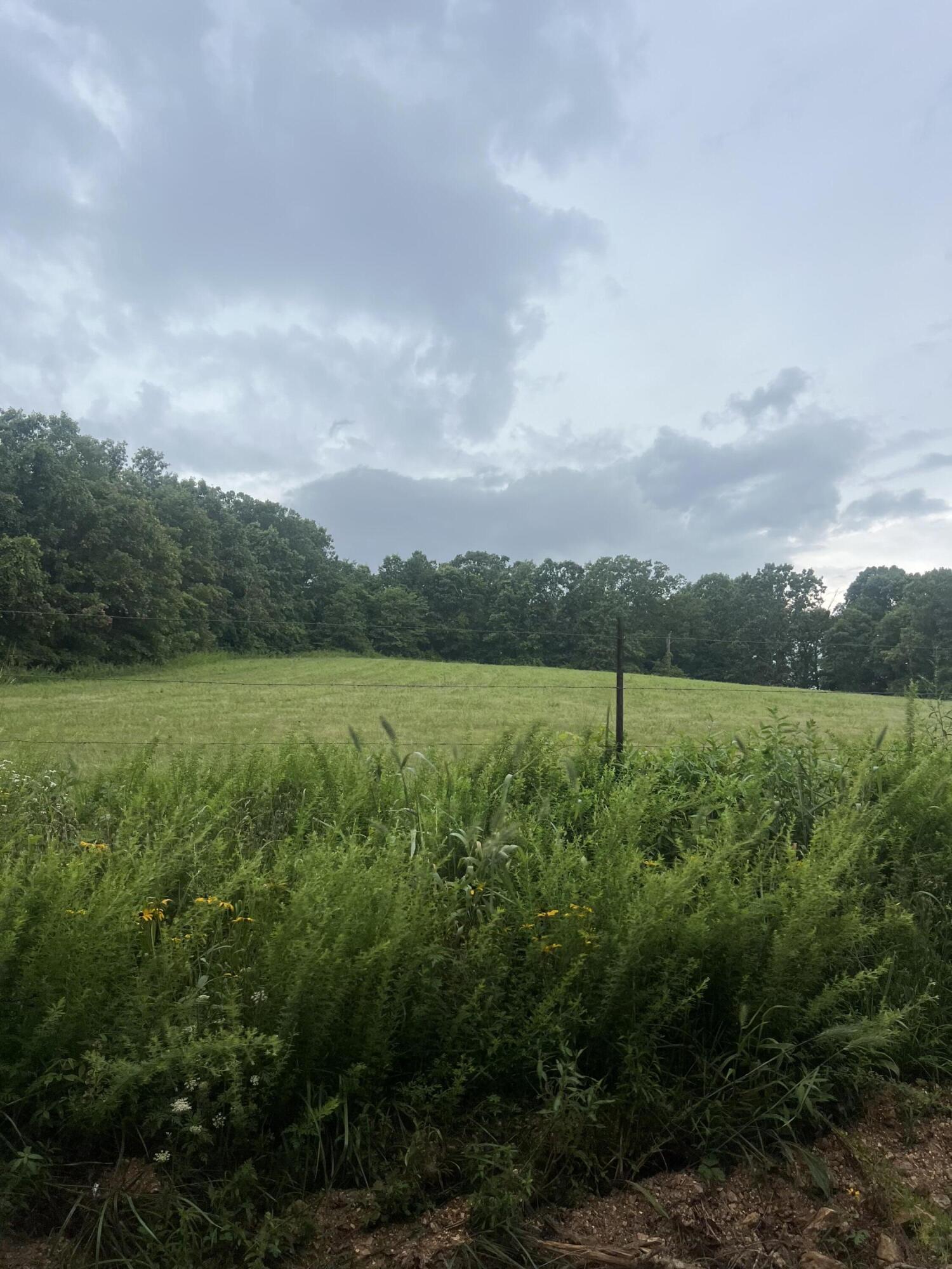 6548 Co Property Photo 44