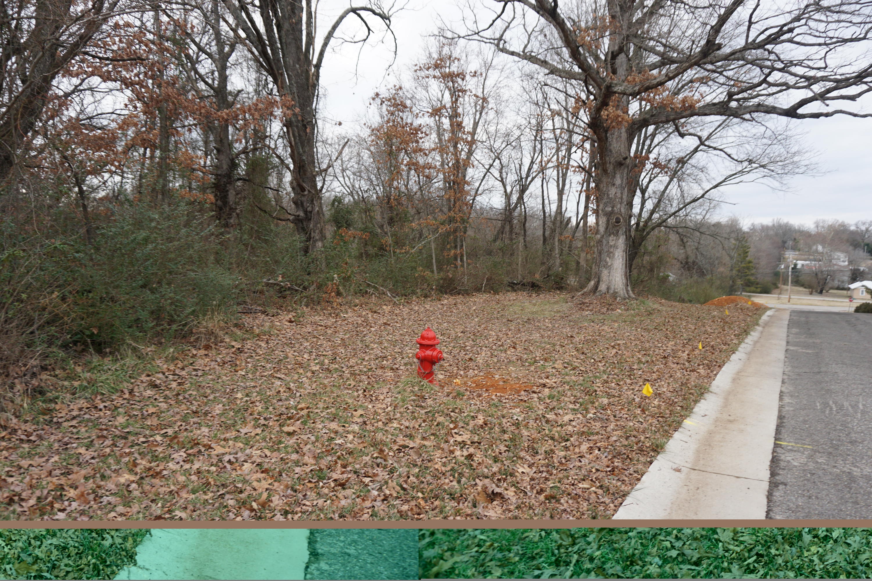 215 & 217 S Utah Ave Property Photo 6