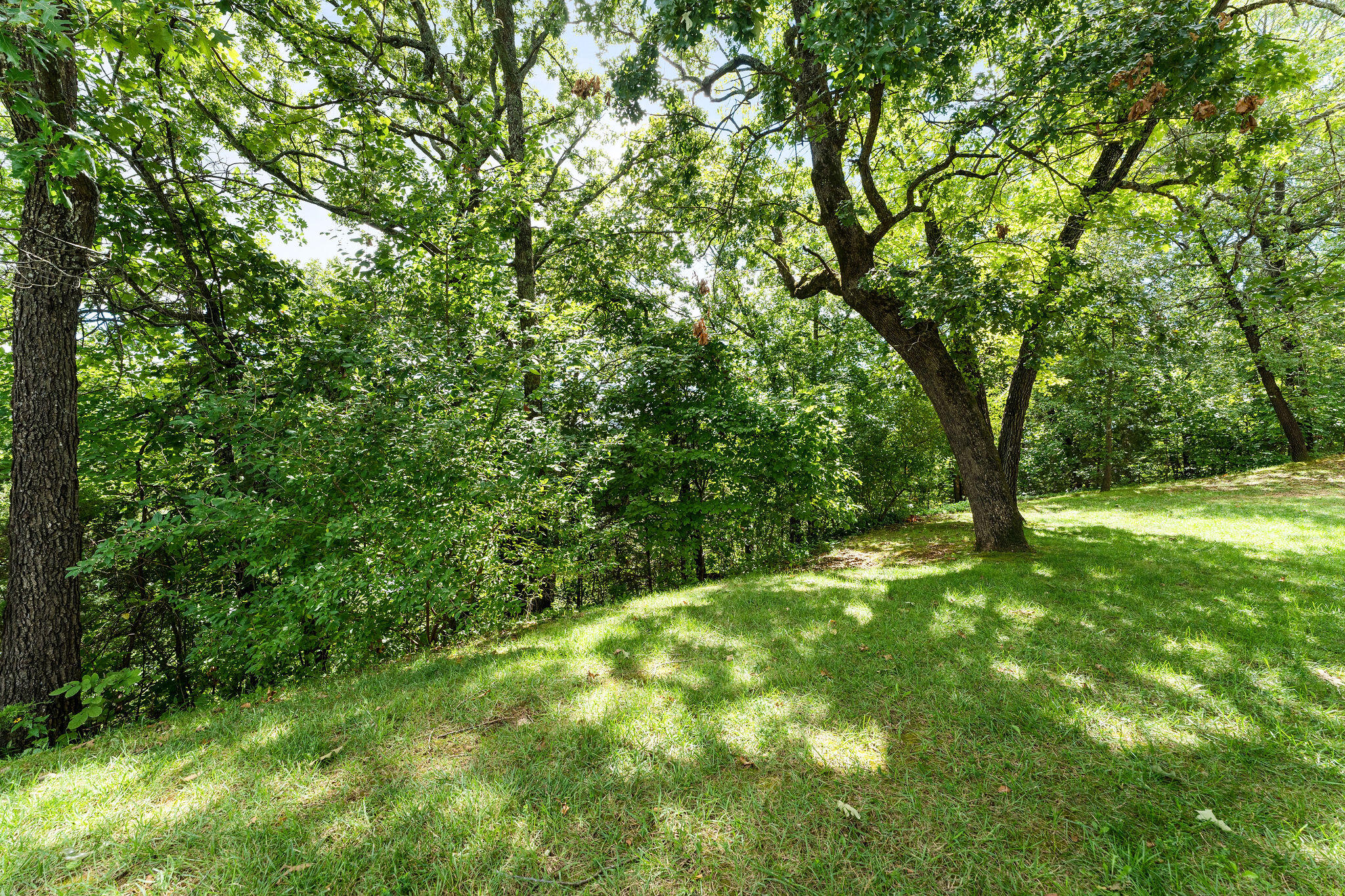 150 The Bluffs Property Photo 22