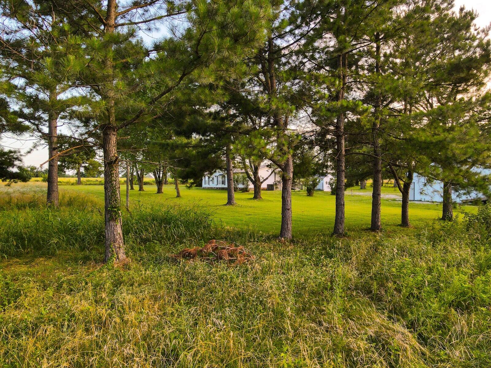 1025 East 2100 Road Property Photo 14