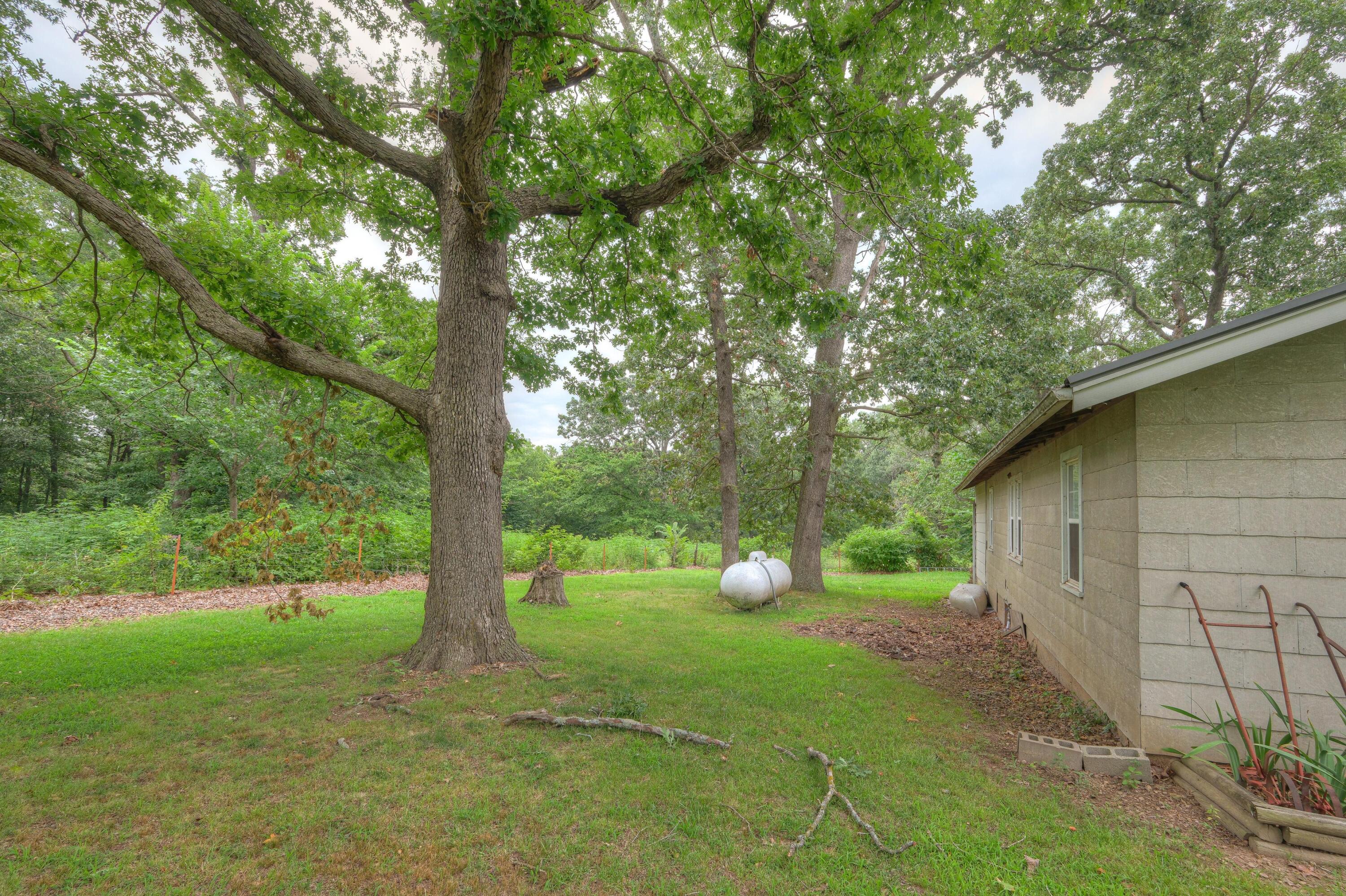 19651 Highway O Property Photo 28