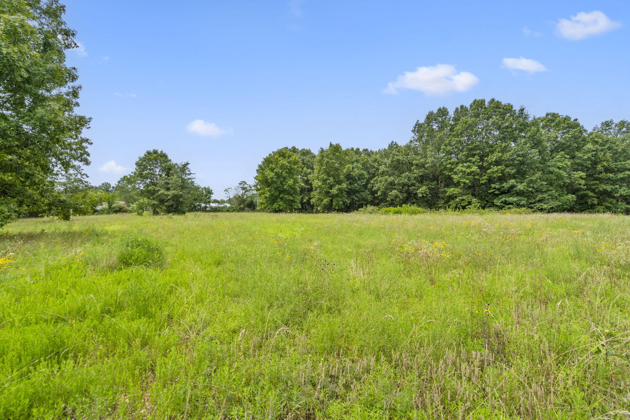 000 John Galt Drive Tract 7 Property Photo 8