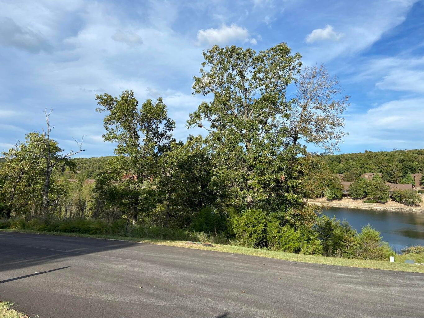 Lot 244 Blue Lake Trail Property Photo 2
