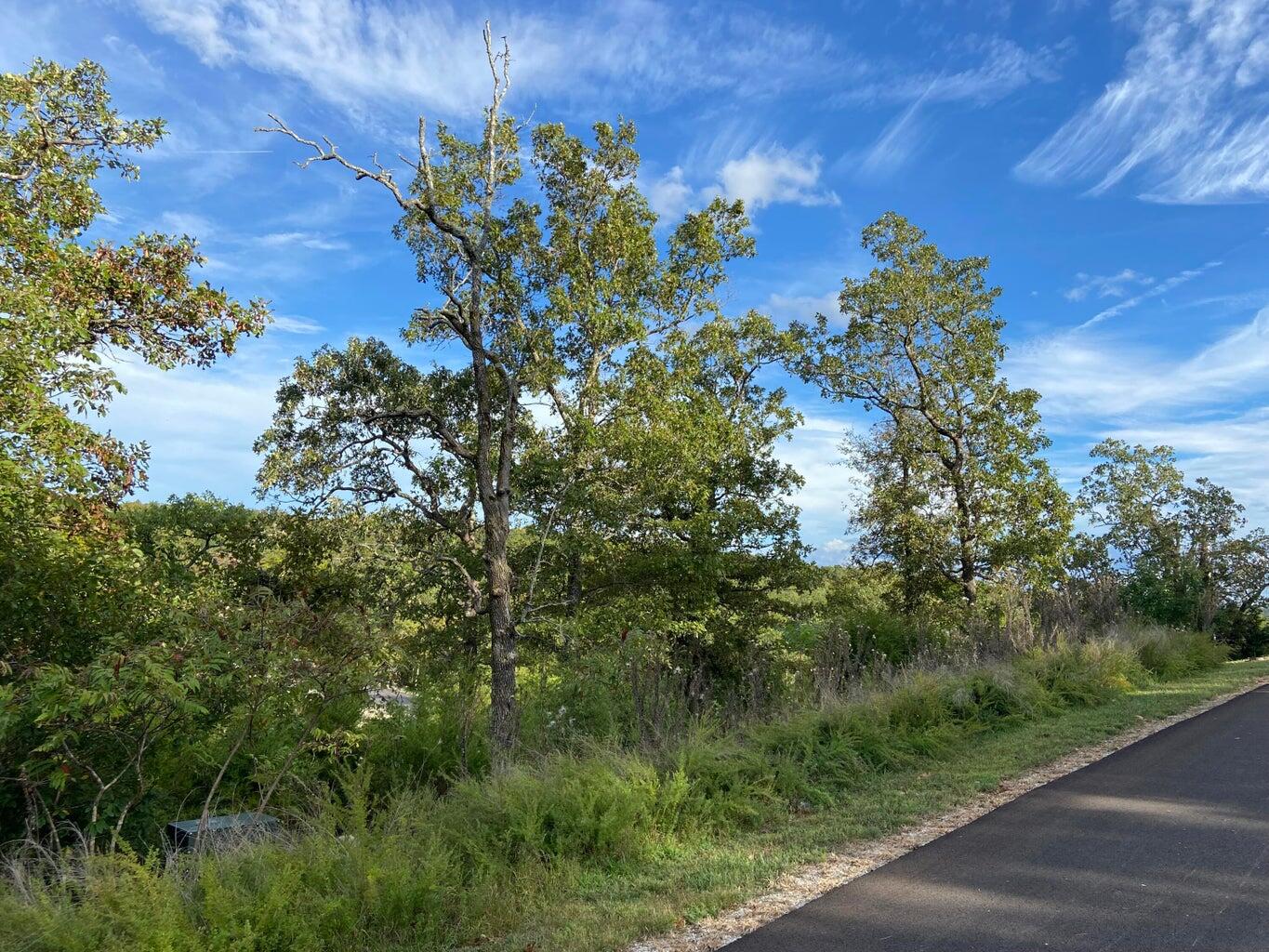 Lot 244 Blue Lake Trail Property Photo 6