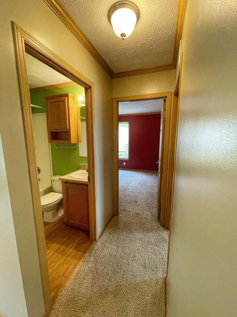 10006 State Highway 17 Property Photo 14