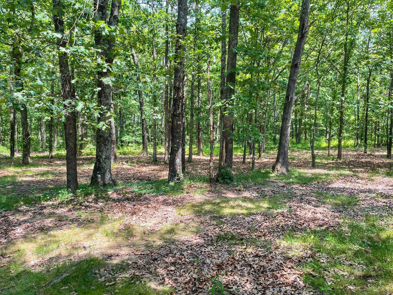 10006 State Highway 17 Property Photo 53