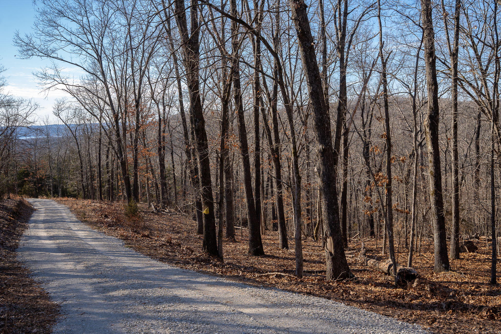 Tbd Northwoods Drive Property Photo 5