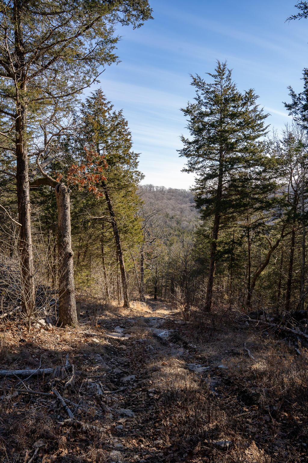 Tbd Northwoods Drive Property Photo 21