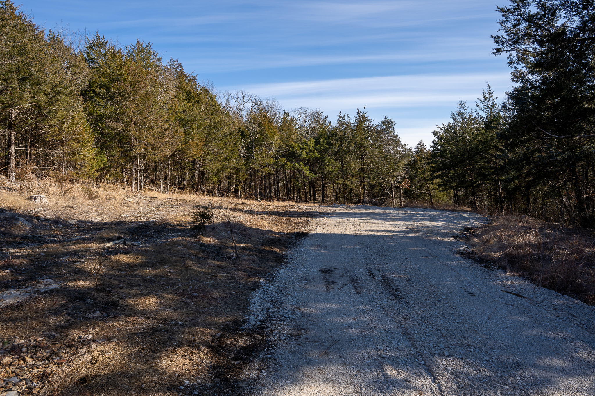 Tbd Northwoods Drive Property Photo 16