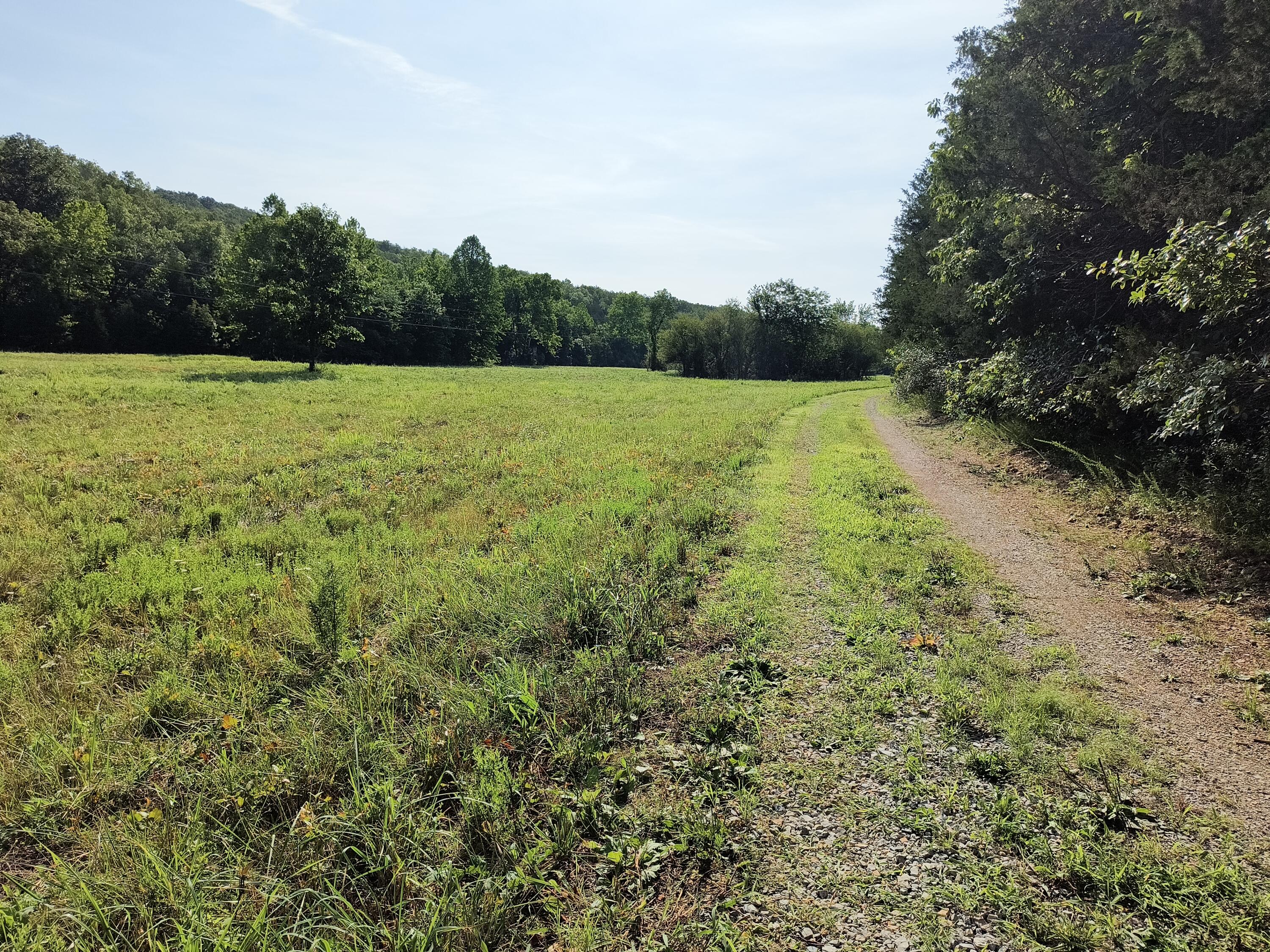 201 Barrett Hollow Lane Property Photo 28