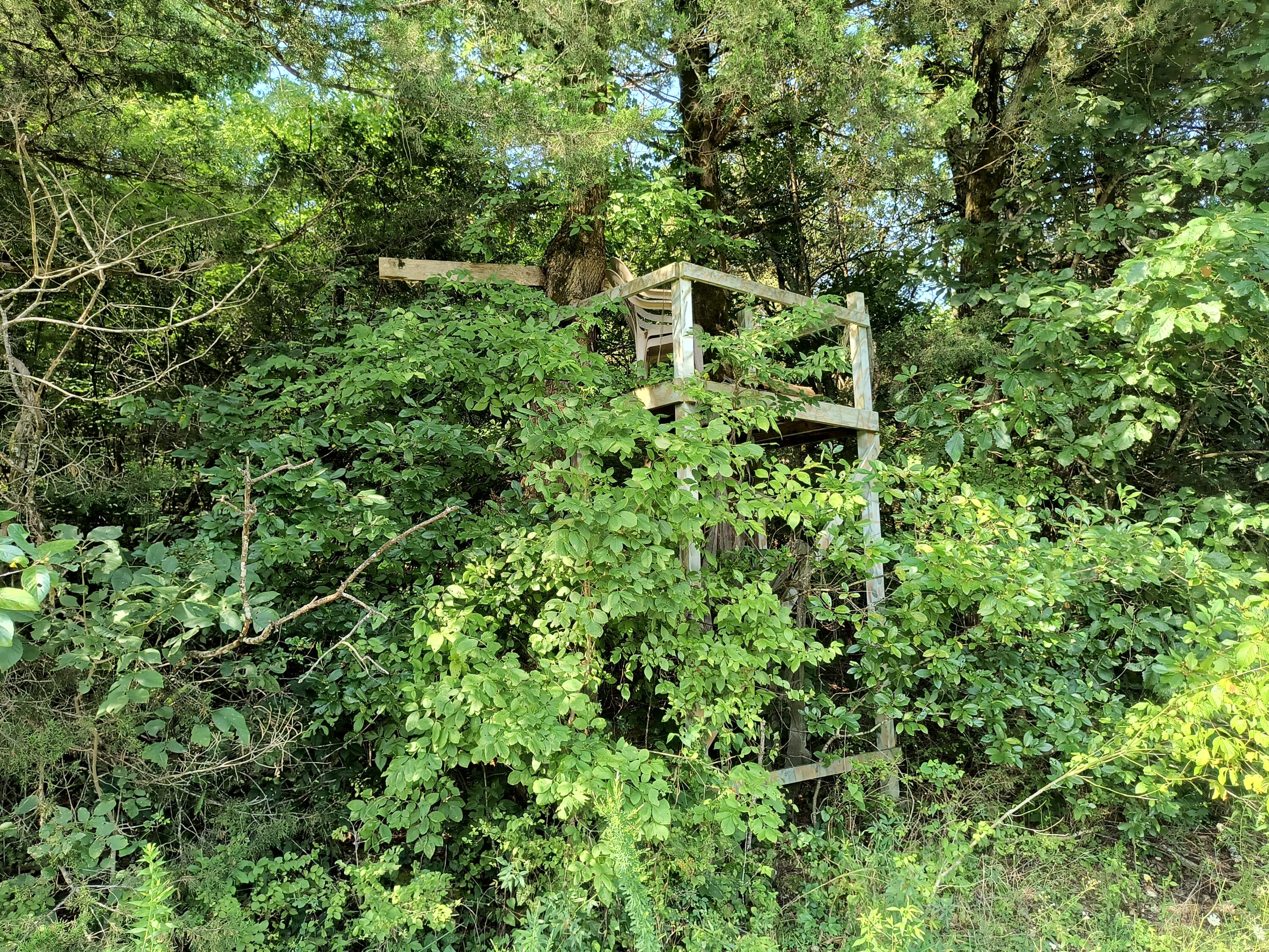 201 Barrett Hollow Lane Property Photo 29