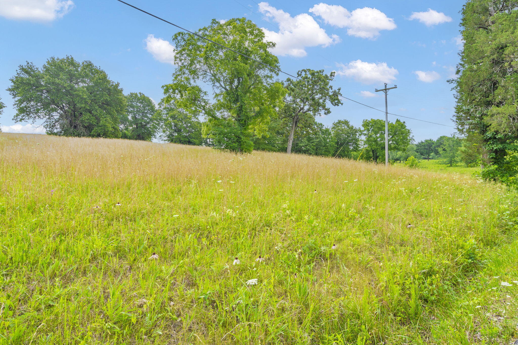 Lot 4 Lake Ridge Property Photo 4
