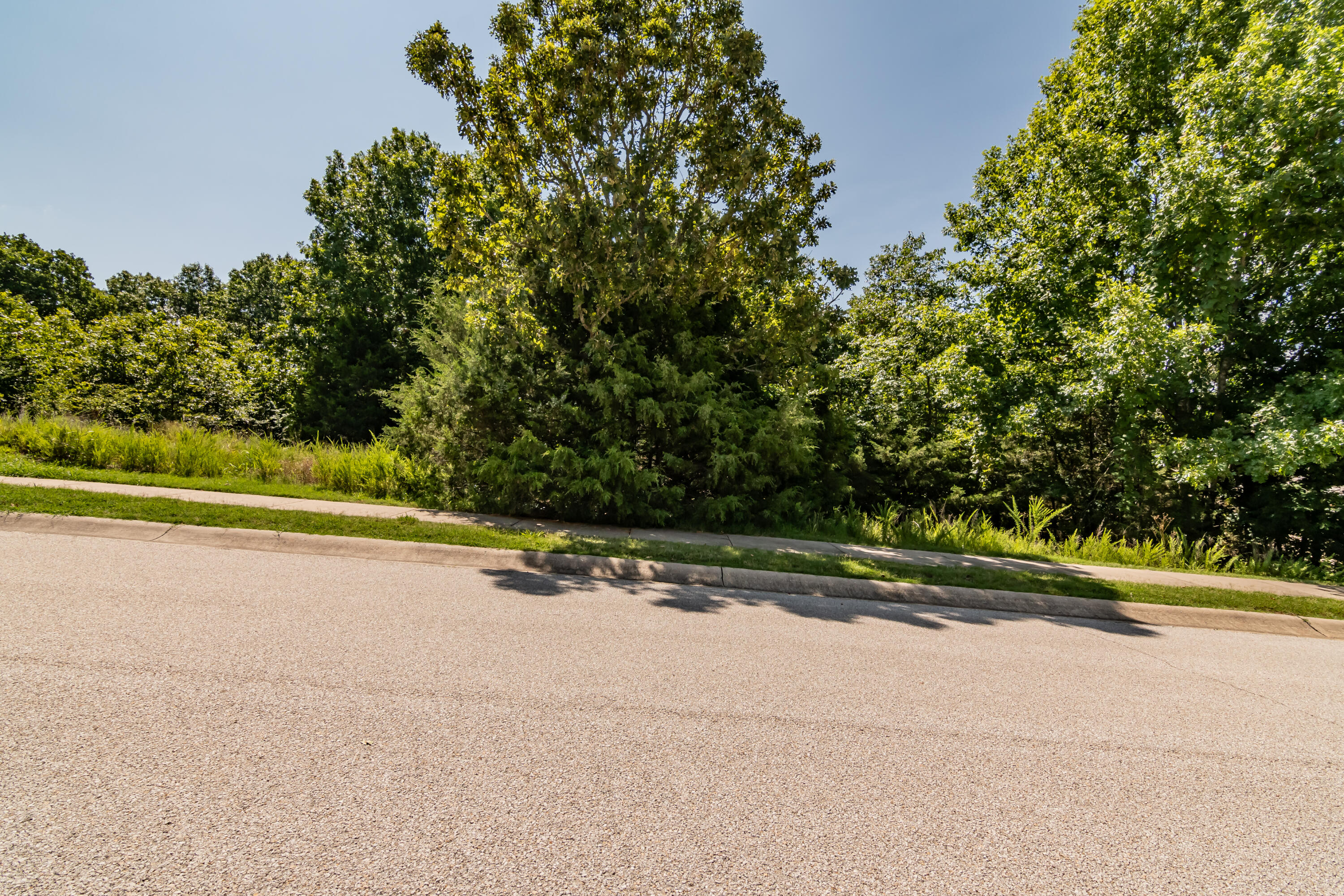 219 Forest Oak Drive Property Photo 4