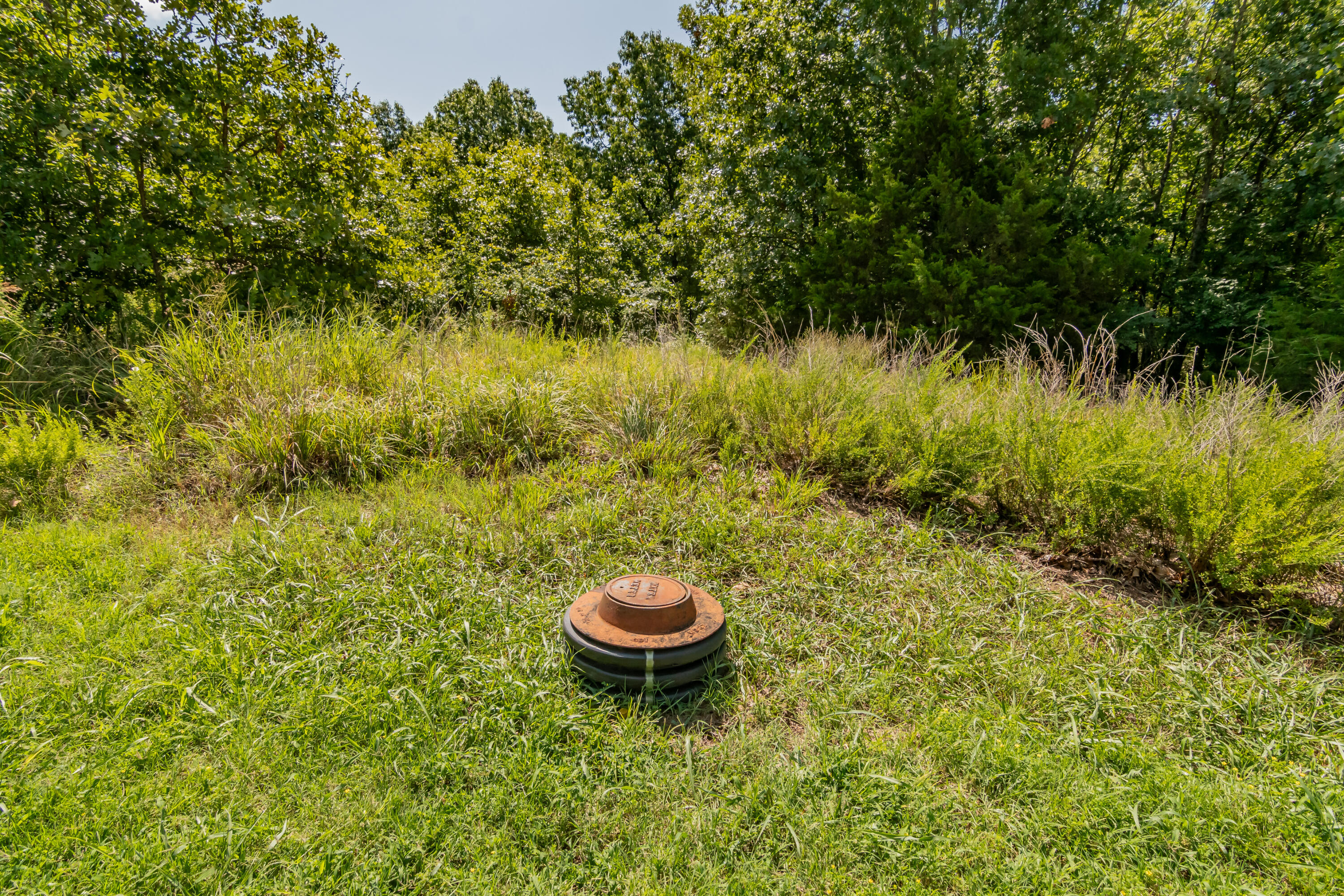 219 Forest Oak Drive Property Photo 5