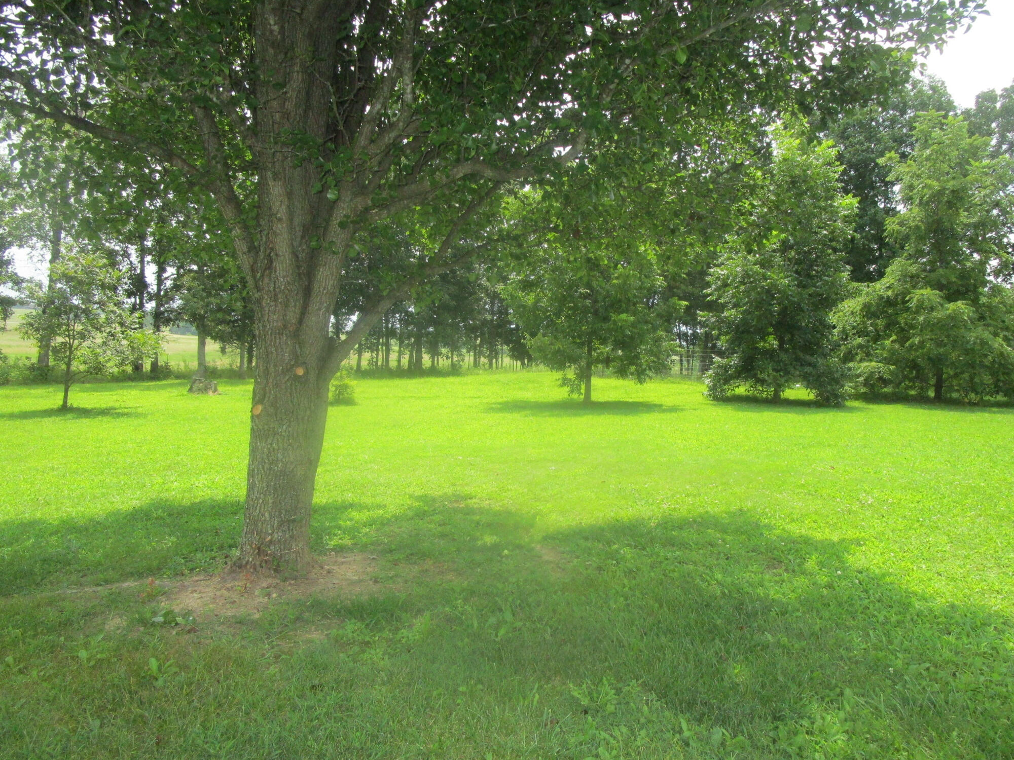 7186 Us Highway 60 Property Photo 37