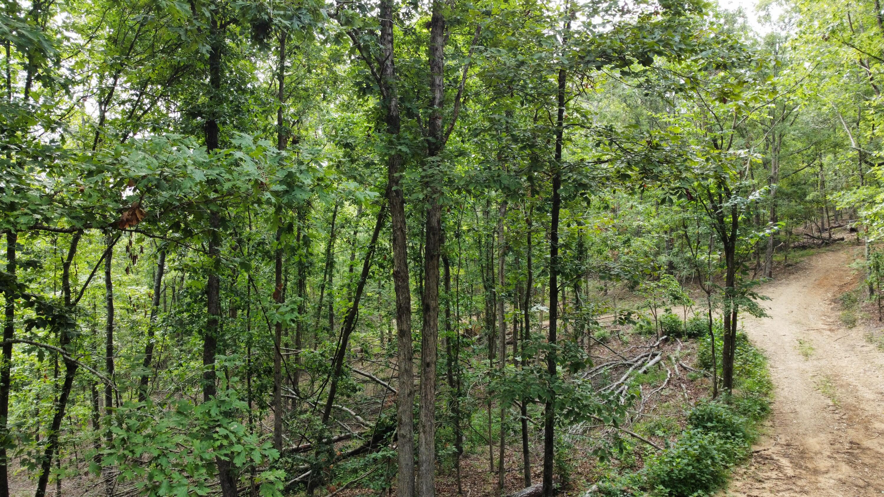 000 Z Highway Property Photo 3