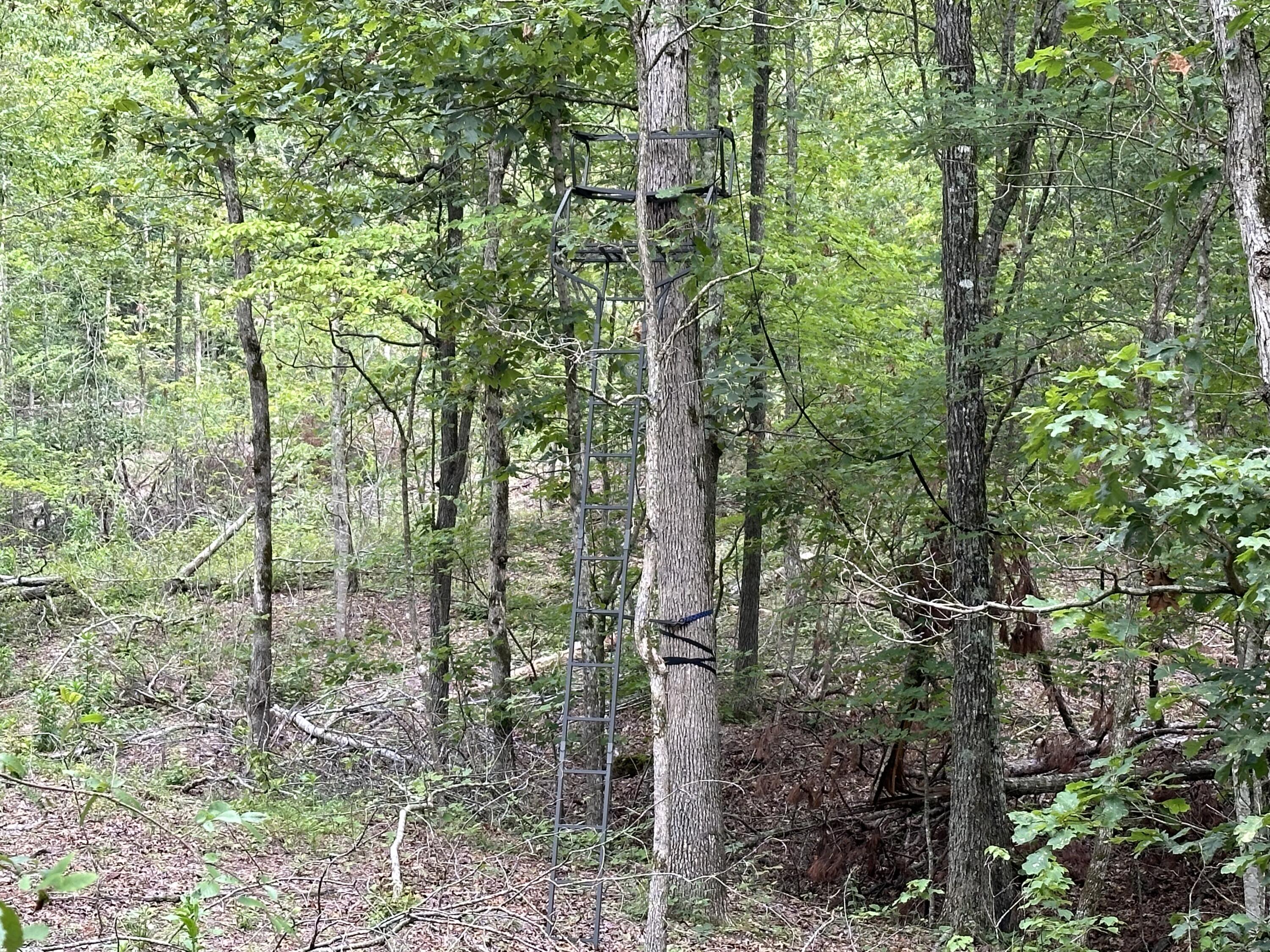 000 Z Highway Property Photo 4