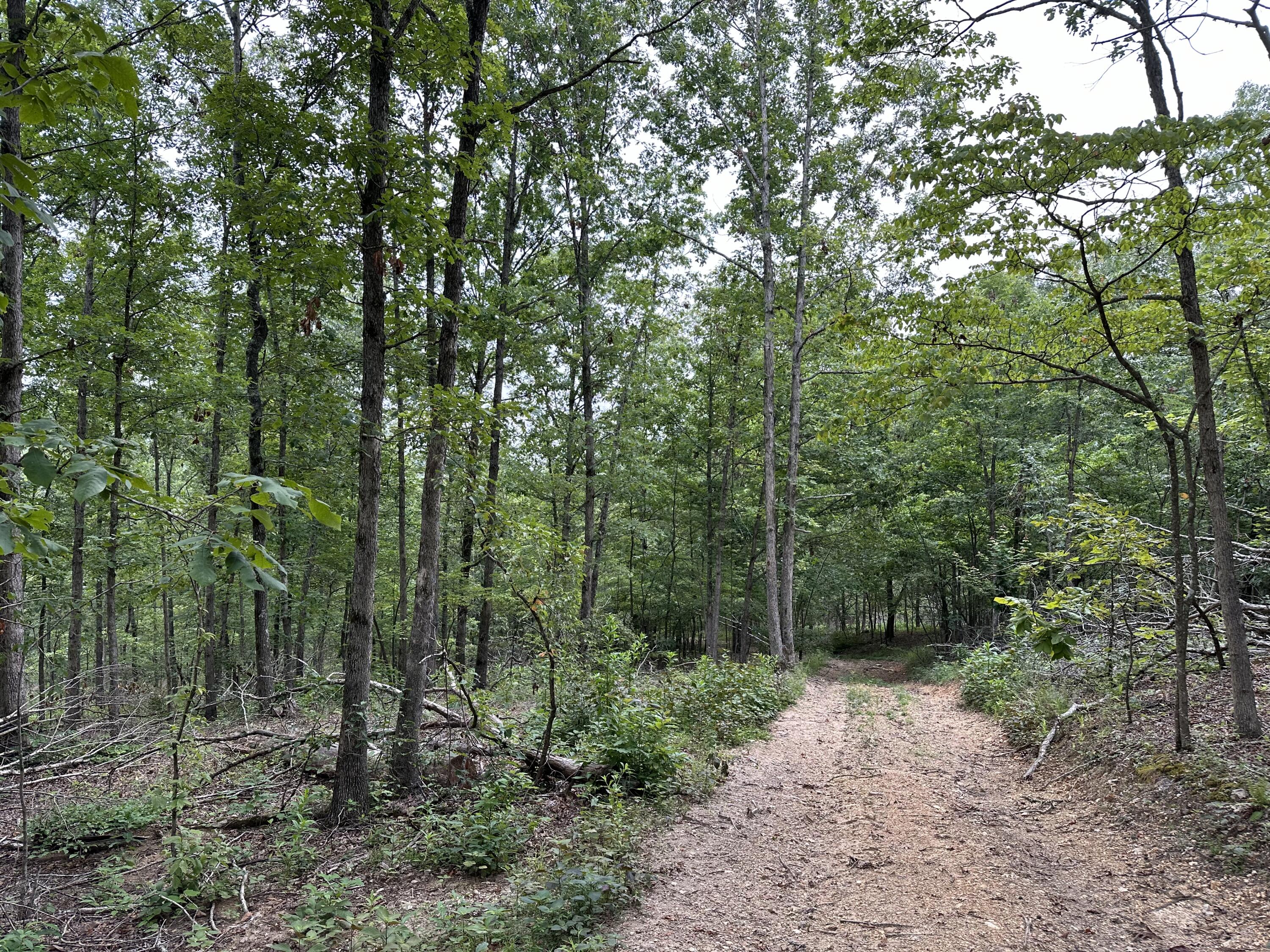 000 Z Highway Property Photo 6