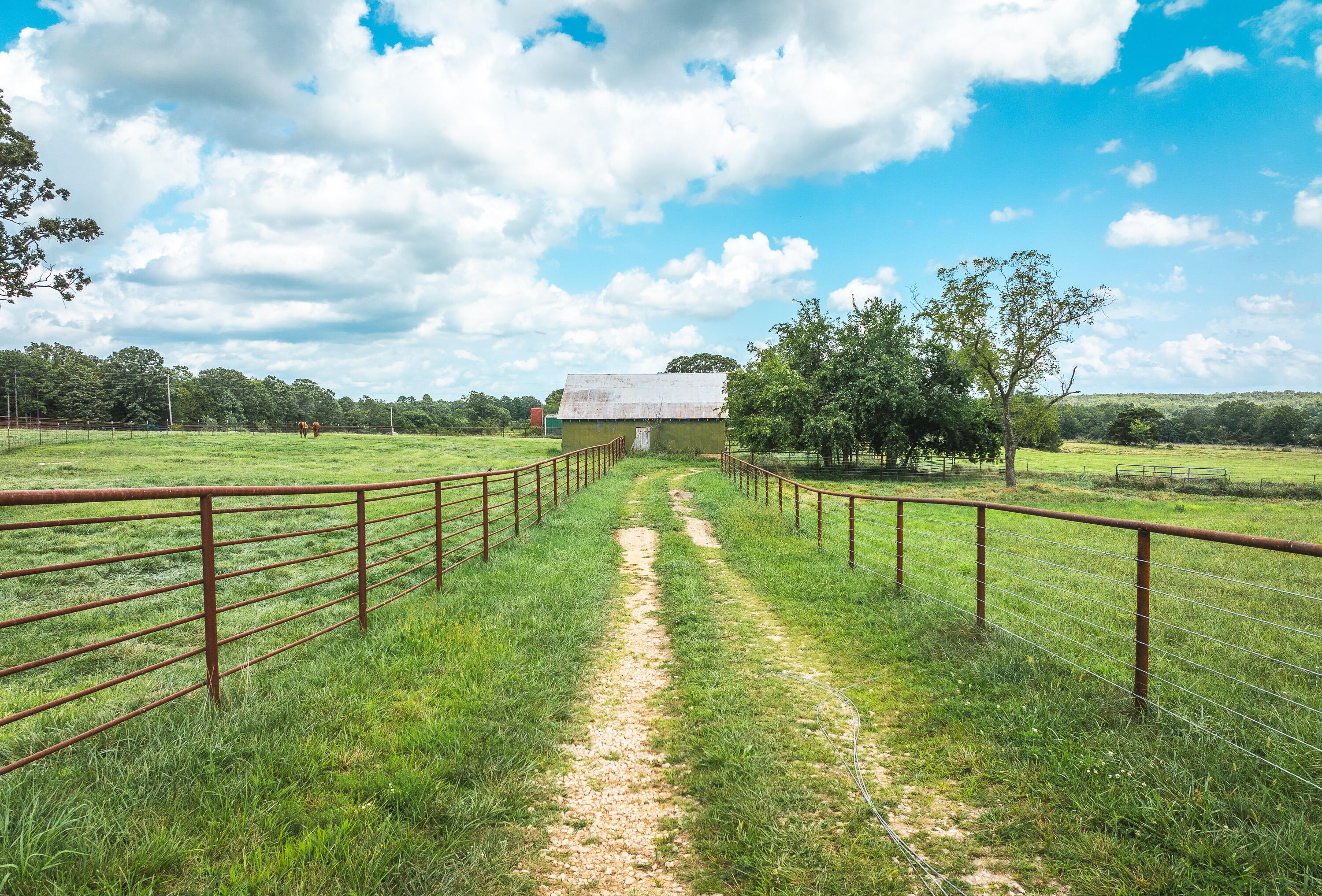956 County Road 2470 Property Photo 52
