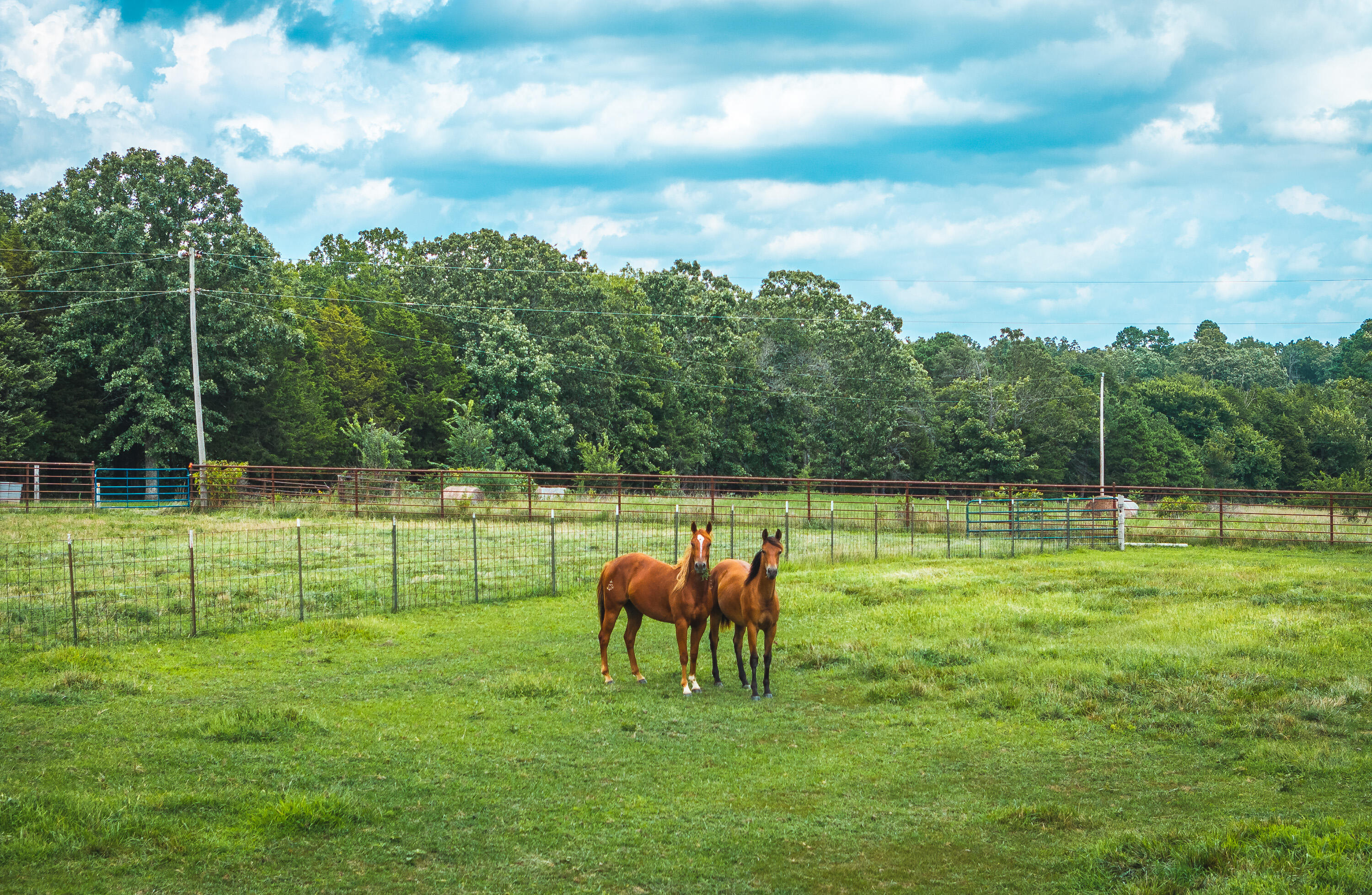 956 County Road 2470 Property Photo 55