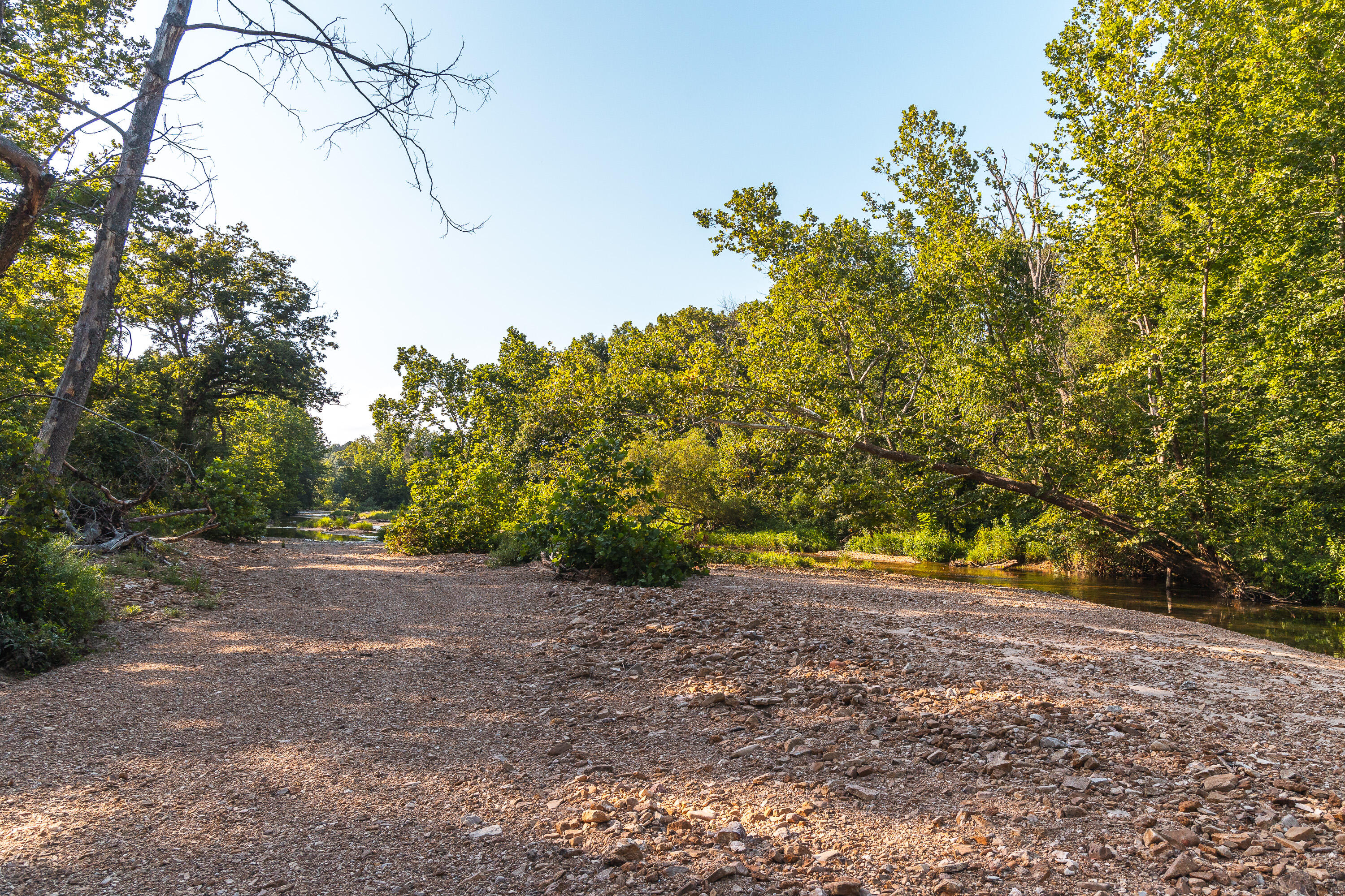 31085 County Road 346-a Road Property Photo 3