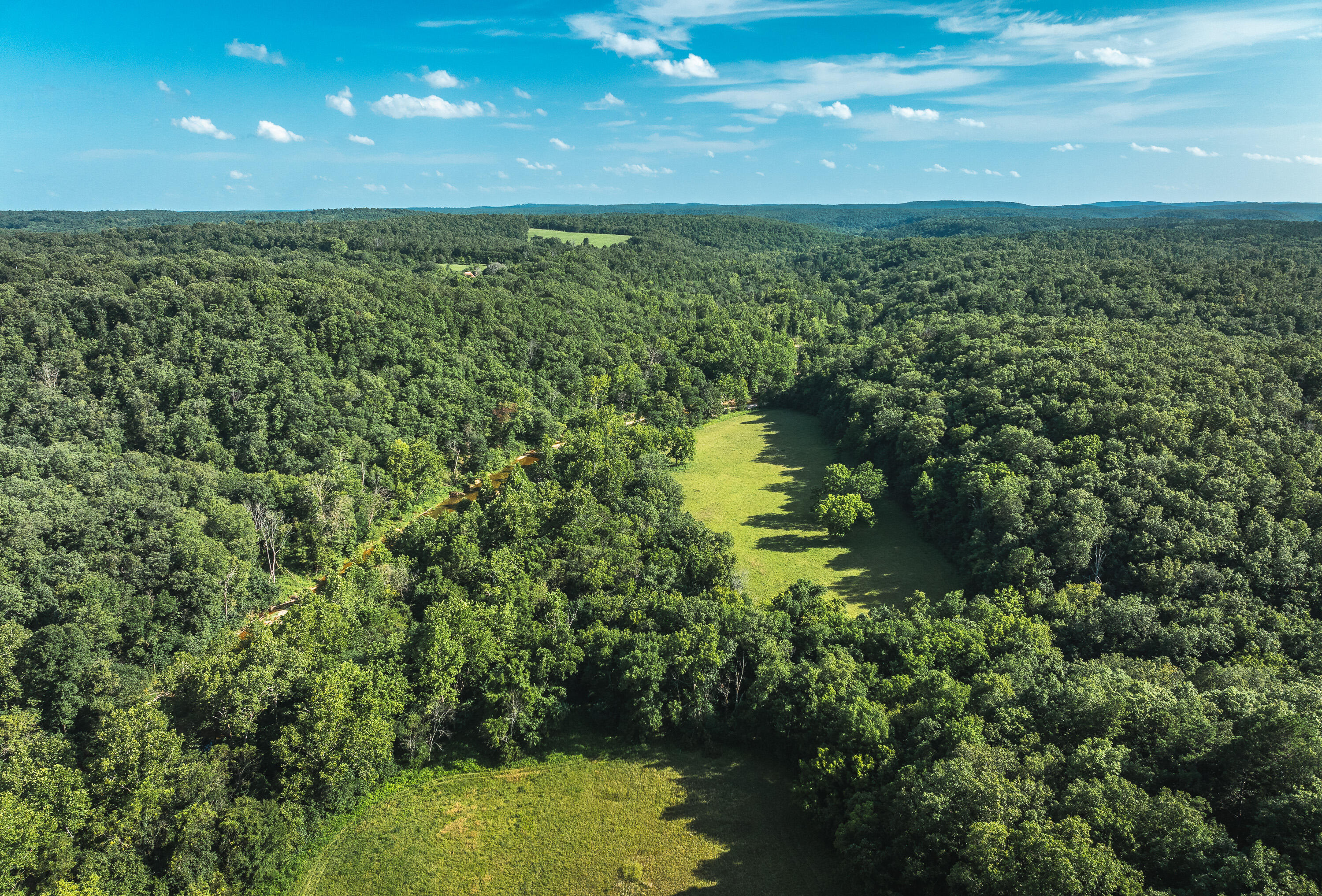 31085 County Road 346-a Road Property Photo 4