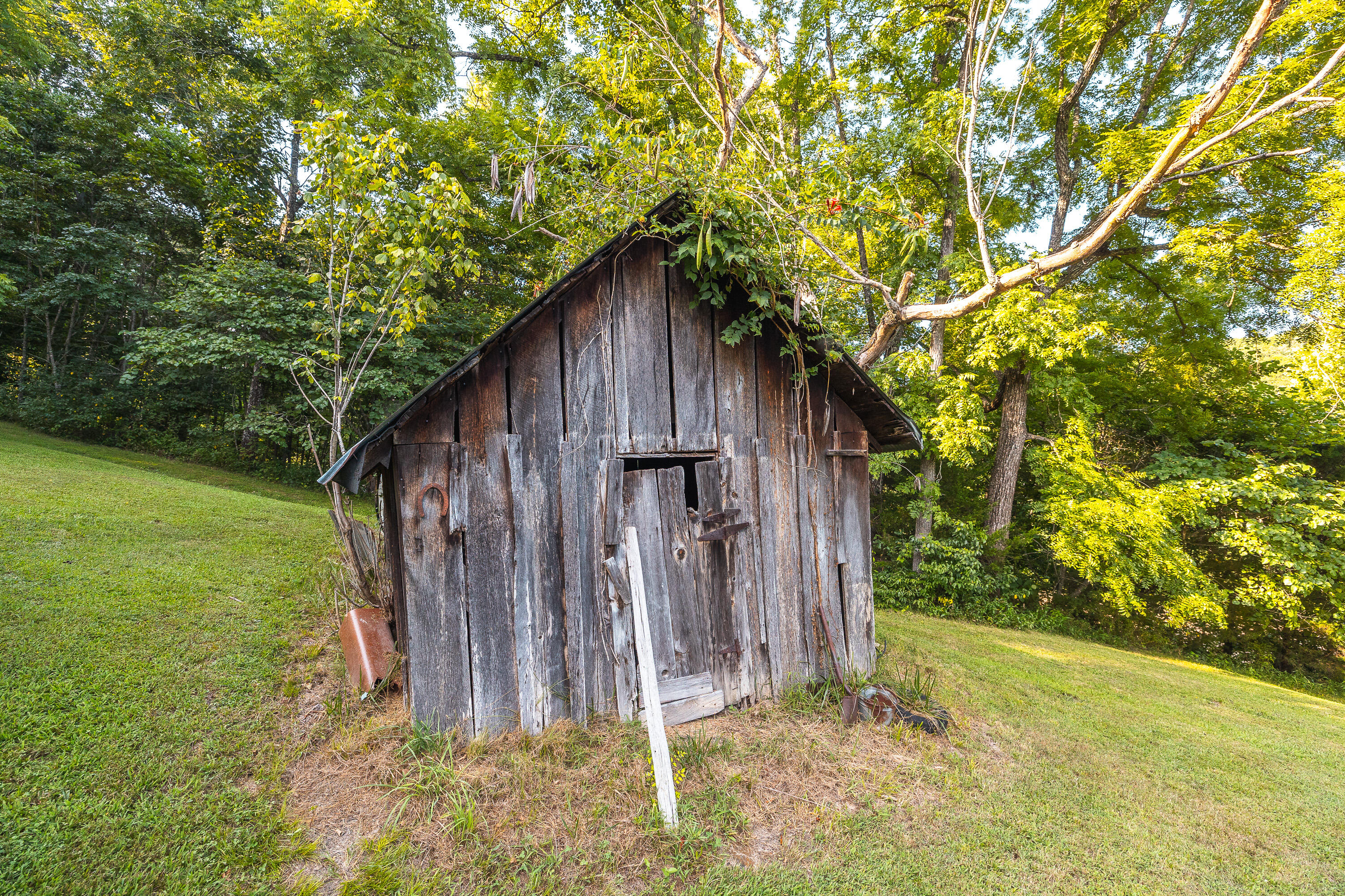 31085 County Road 346-a Road Property Photo 49