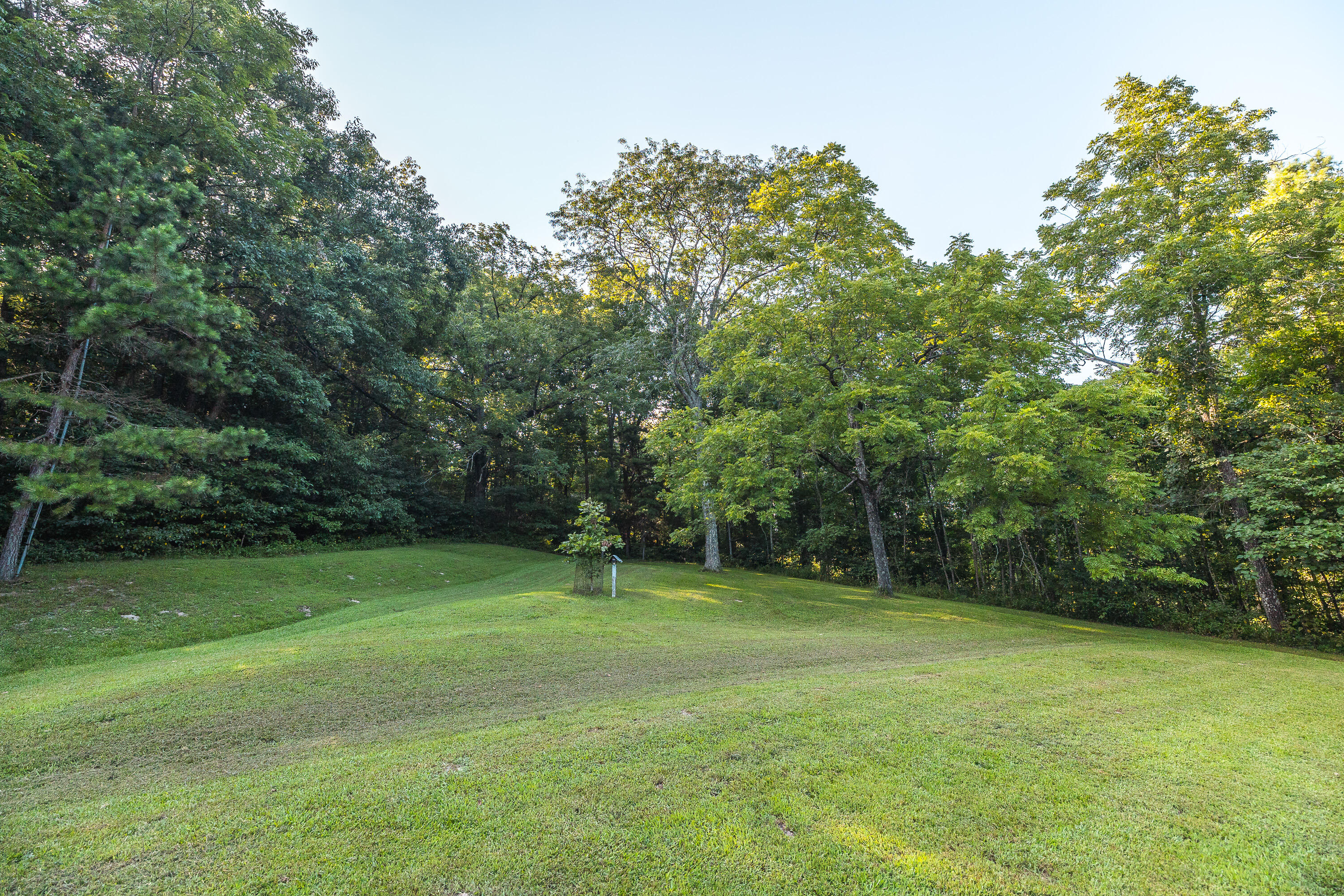 31085 County Road 346-a Road Property Photo 50