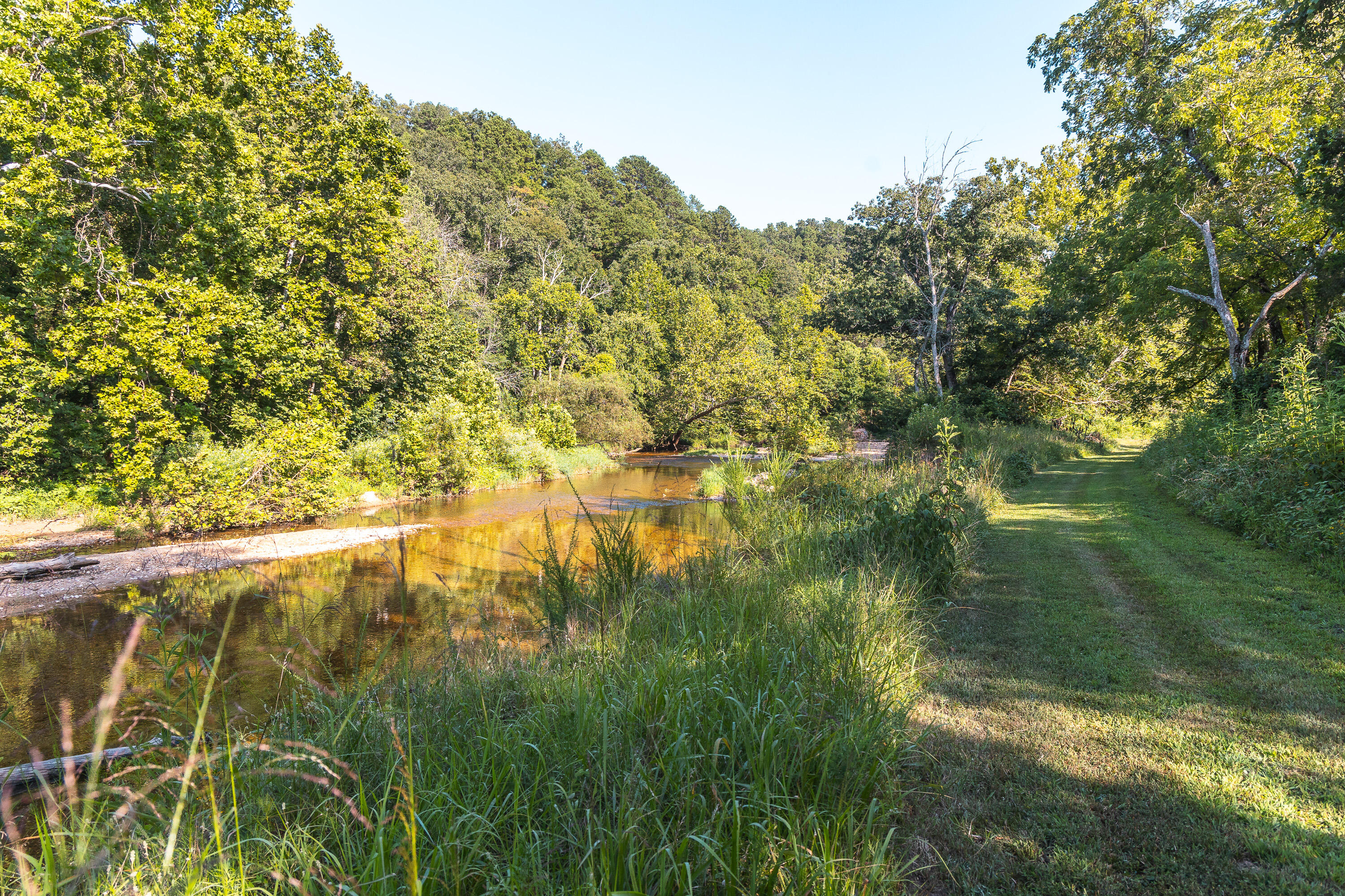 31085 County Road 346-a Road Property Photo 54