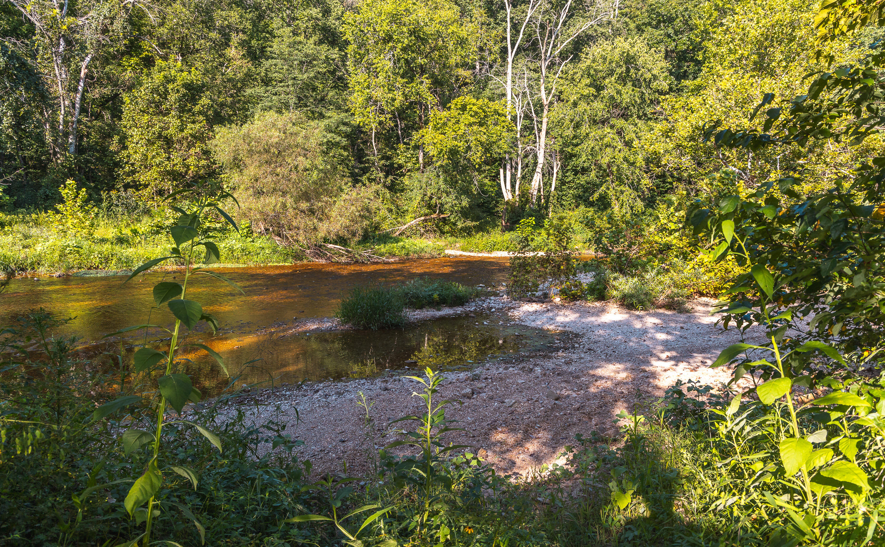 31085 County Road 346-a Road Property Photo 61