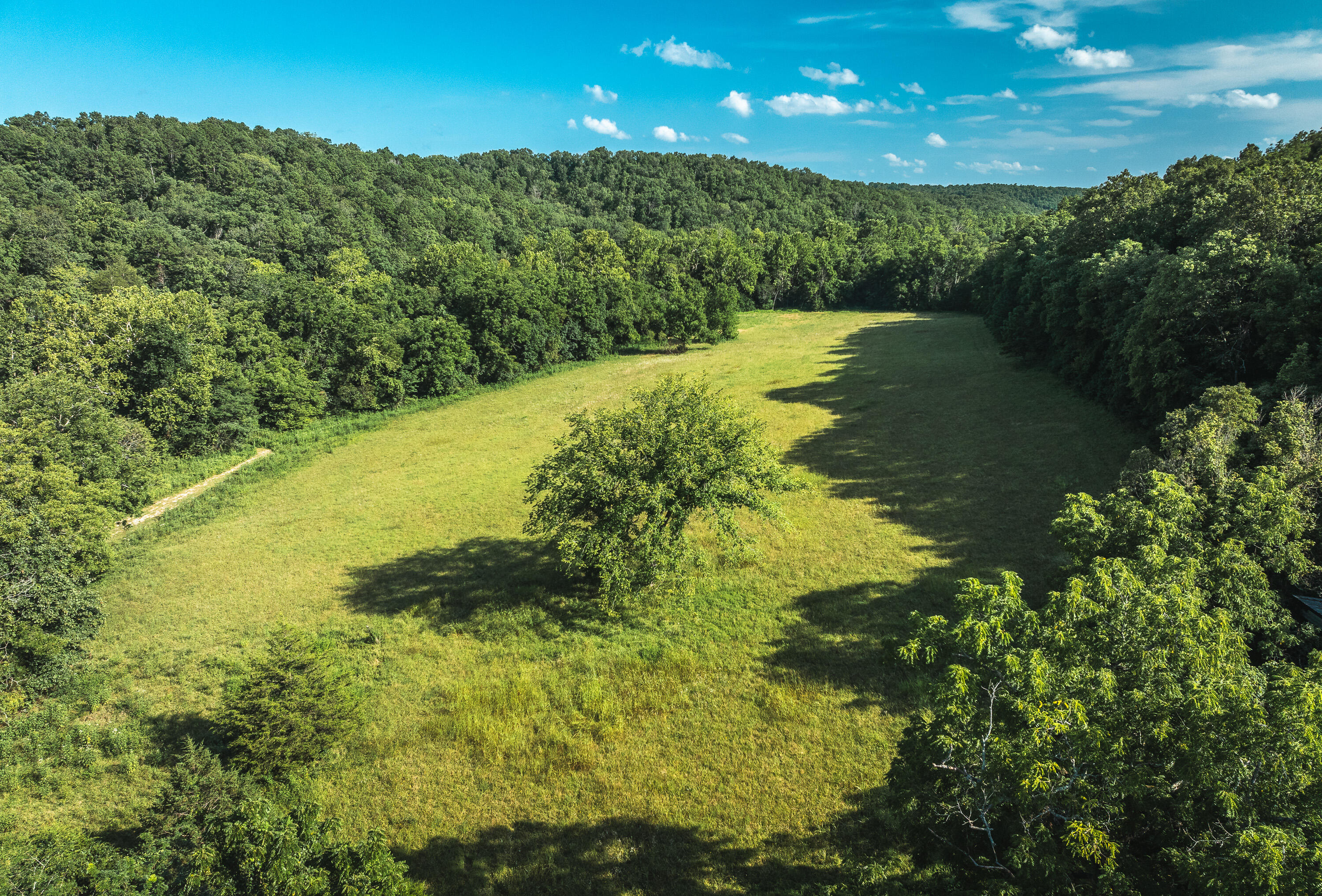 31085 County Road 346-a Road Property Photo 65
