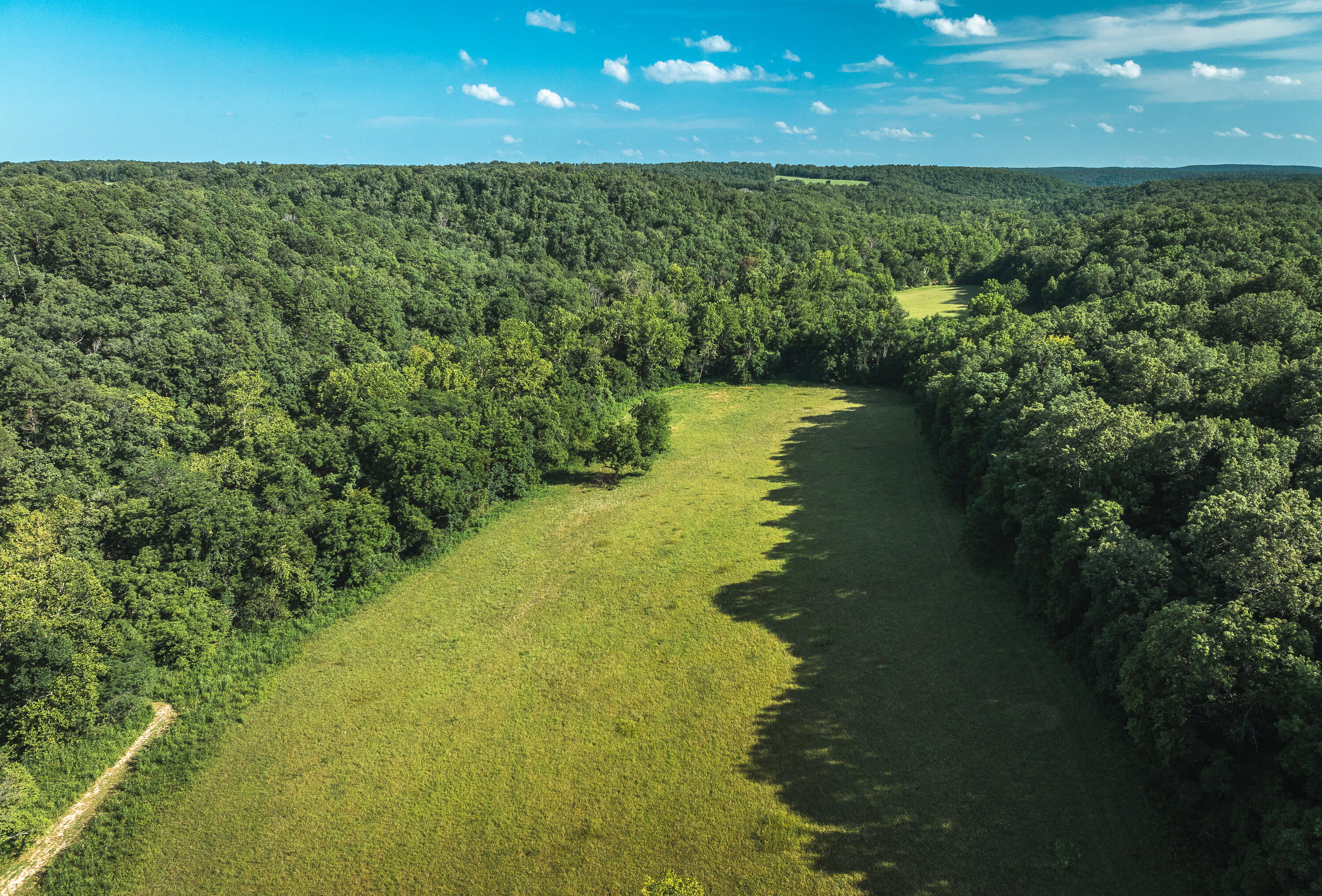 31085 County Road 346-a Road Property Photo 66