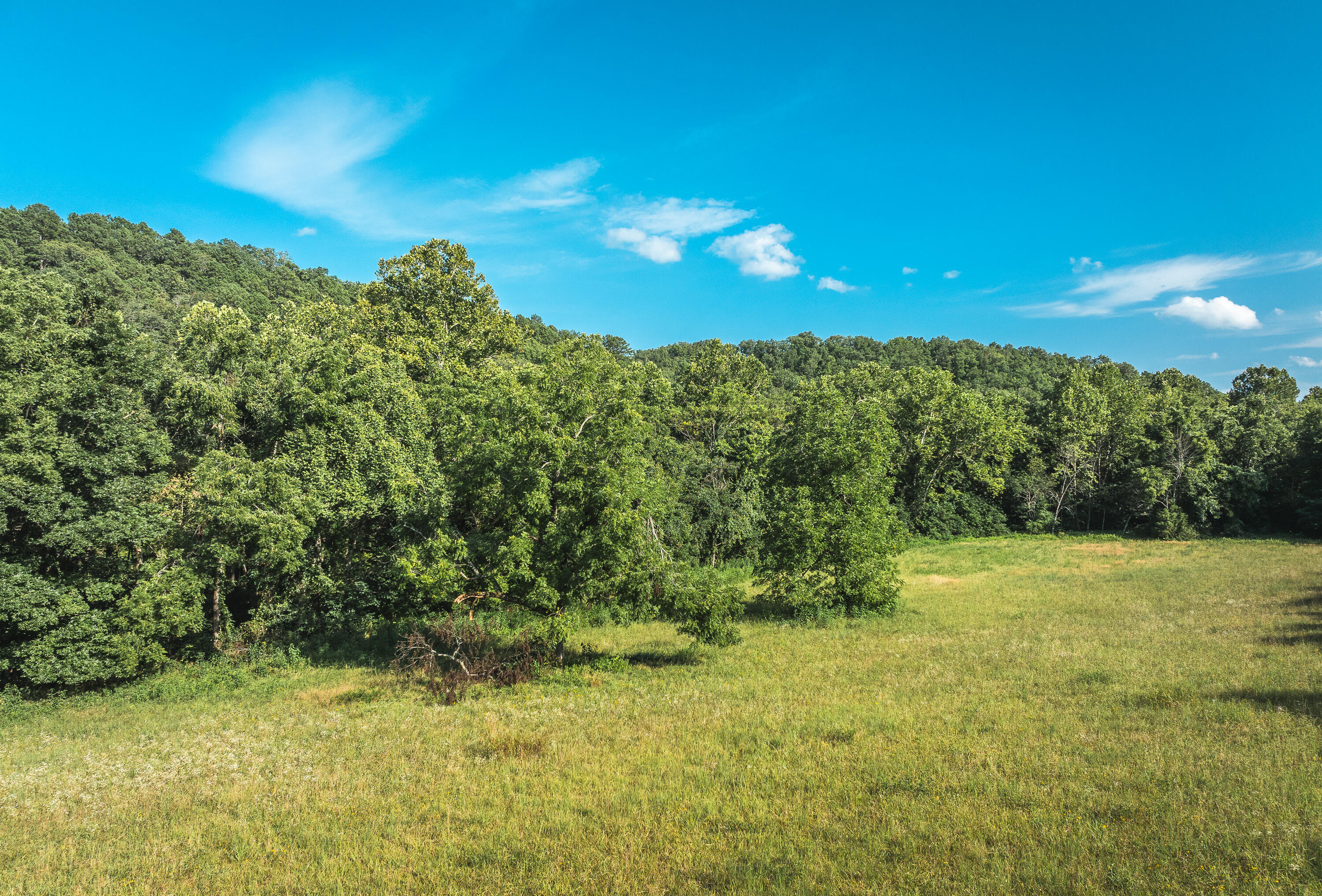 31085 County Road 346-a Road Property Photo 82