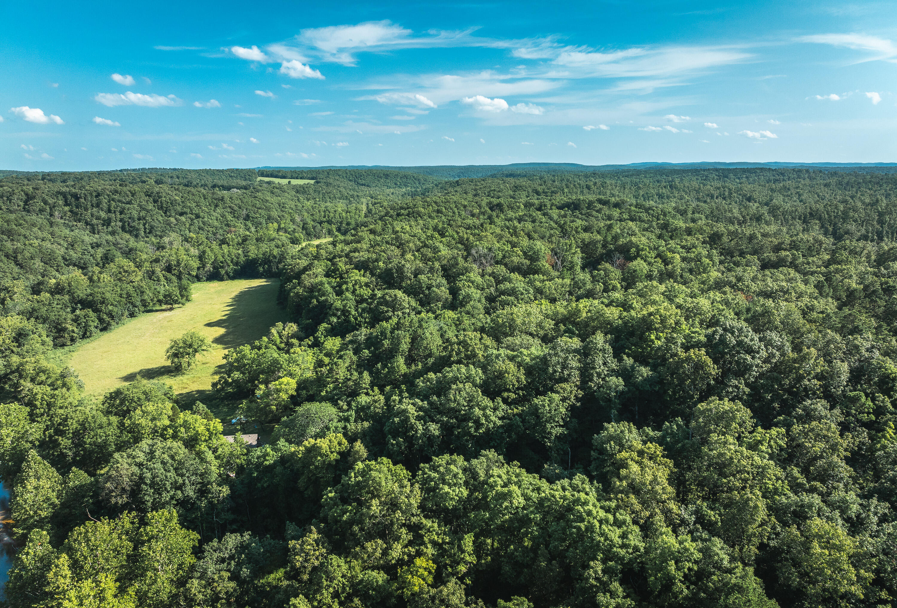 31085 County Road 346-a Road Property Photo 86