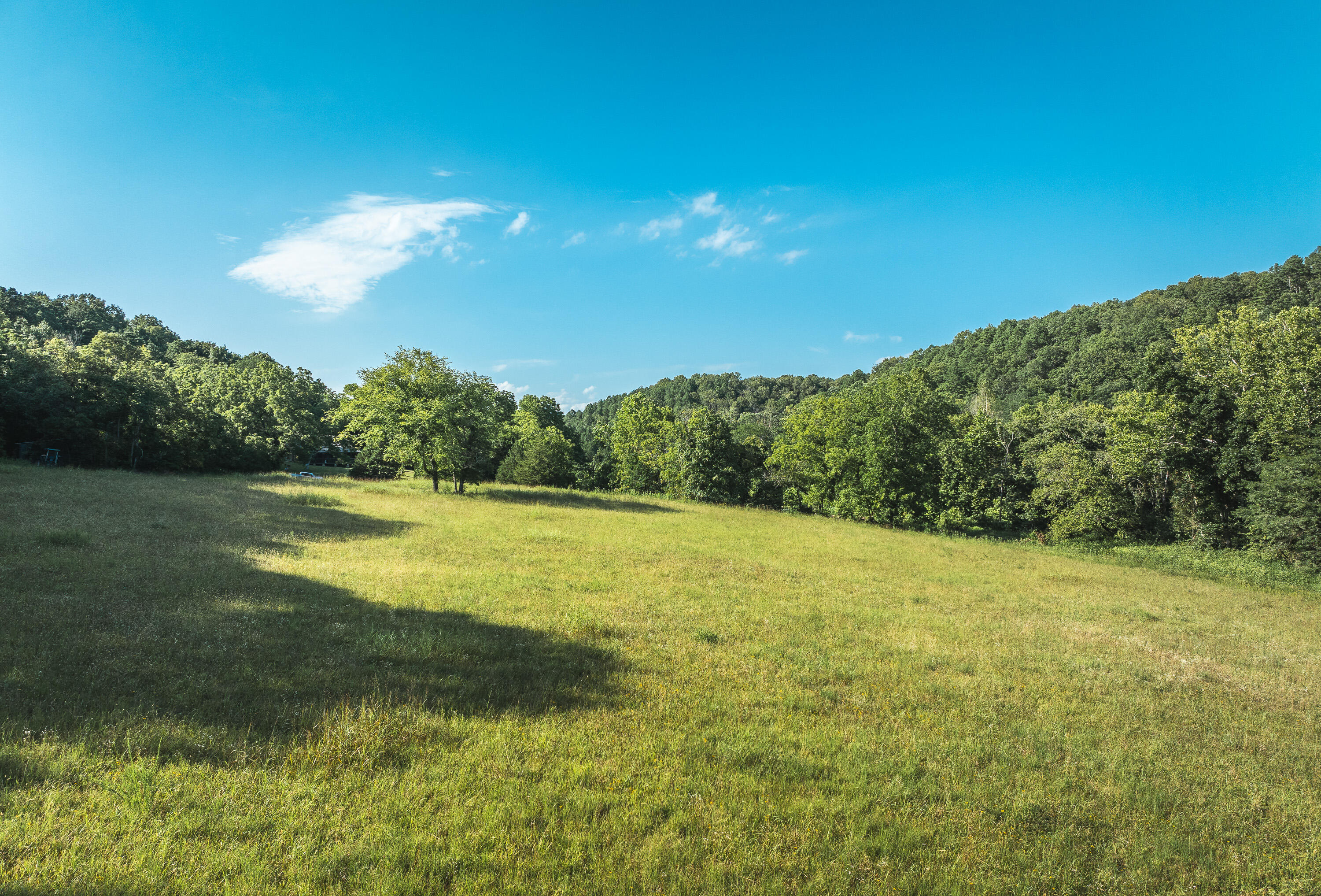 31085 County Road 346-a Road Property Photo 87