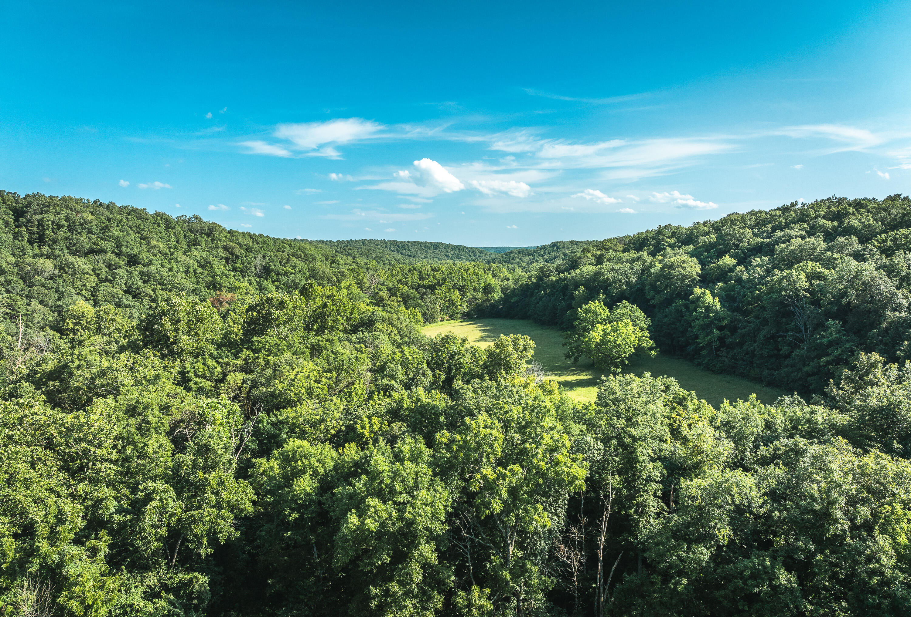 31085 County Road 346-a Road Property Photo 91