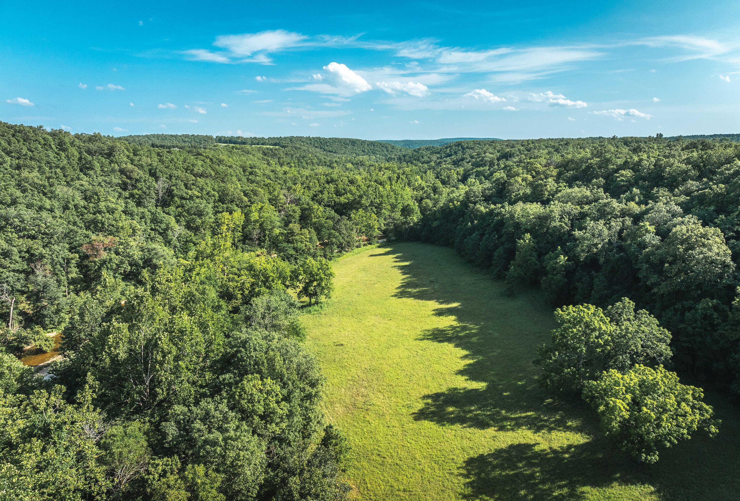 31085 County Road 346-a Road Property Photo 92