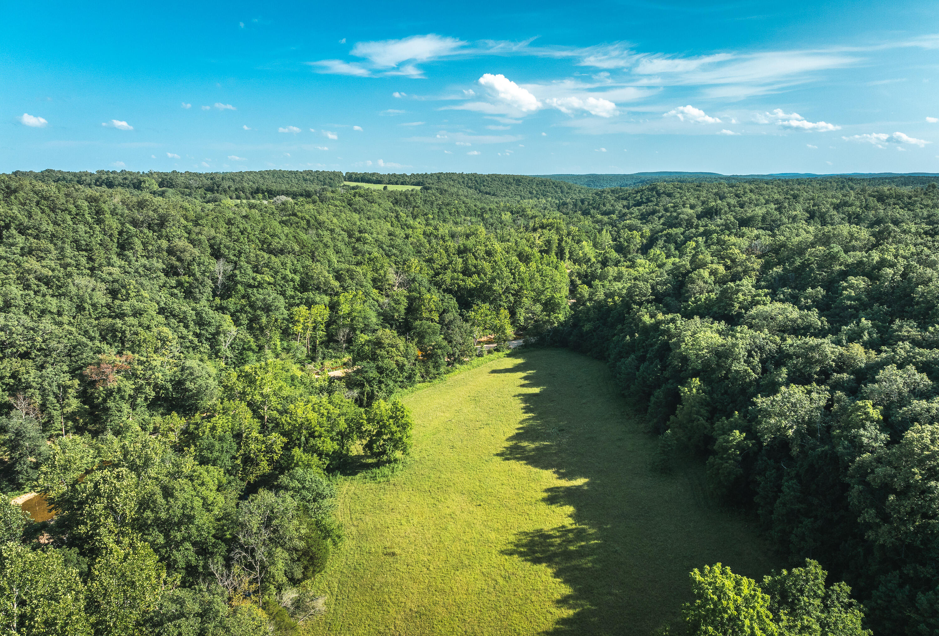 31085 County Road 346-a Road Property Photo 93