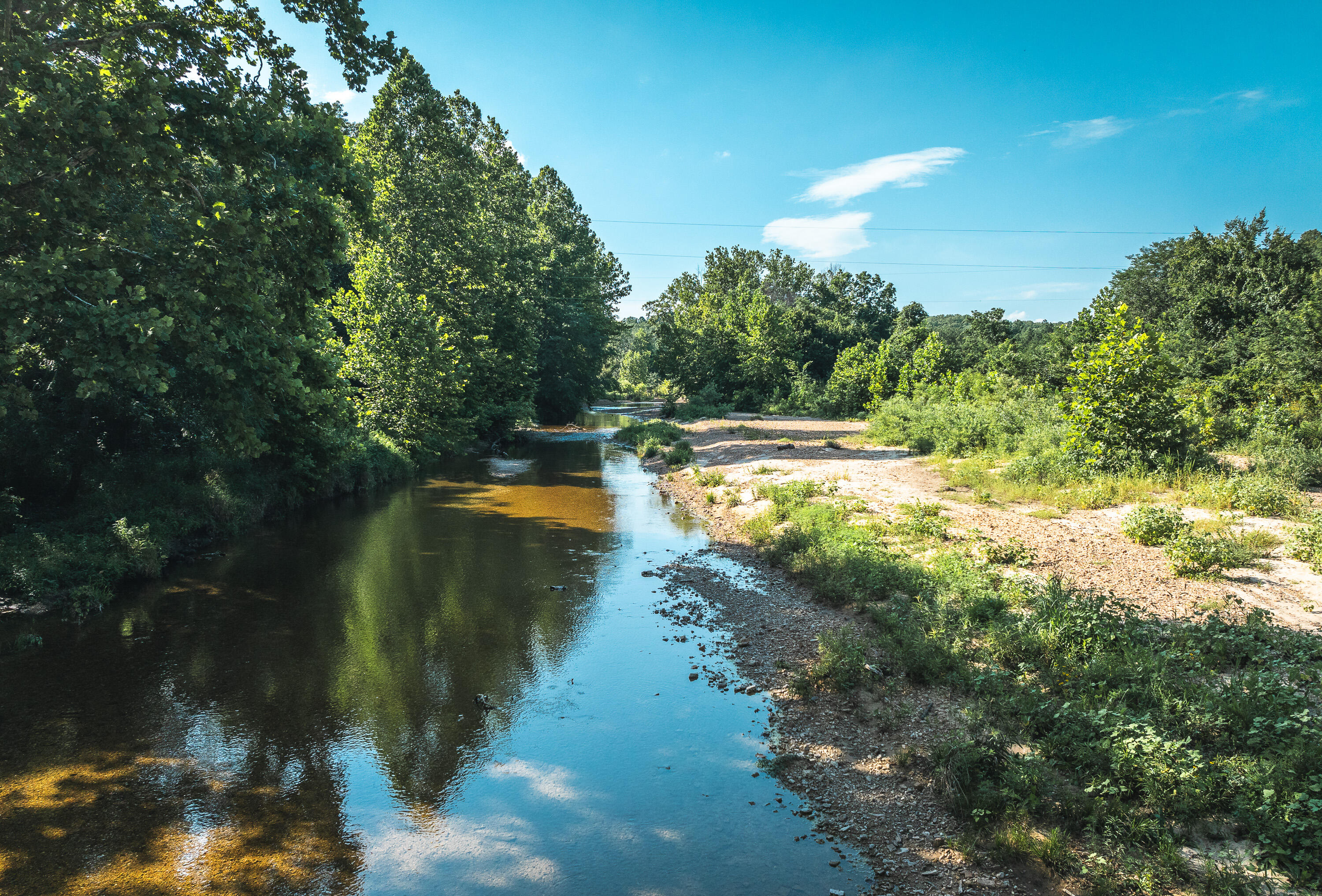 31085 County Road 346-a Road Property Photo 94