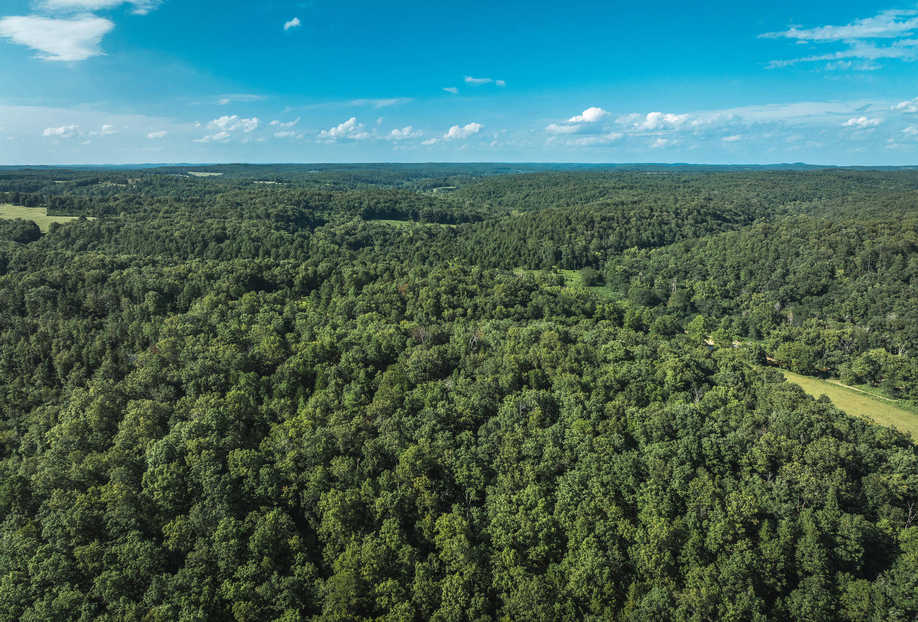 31085 County Road 346-a Road Property Photo 95