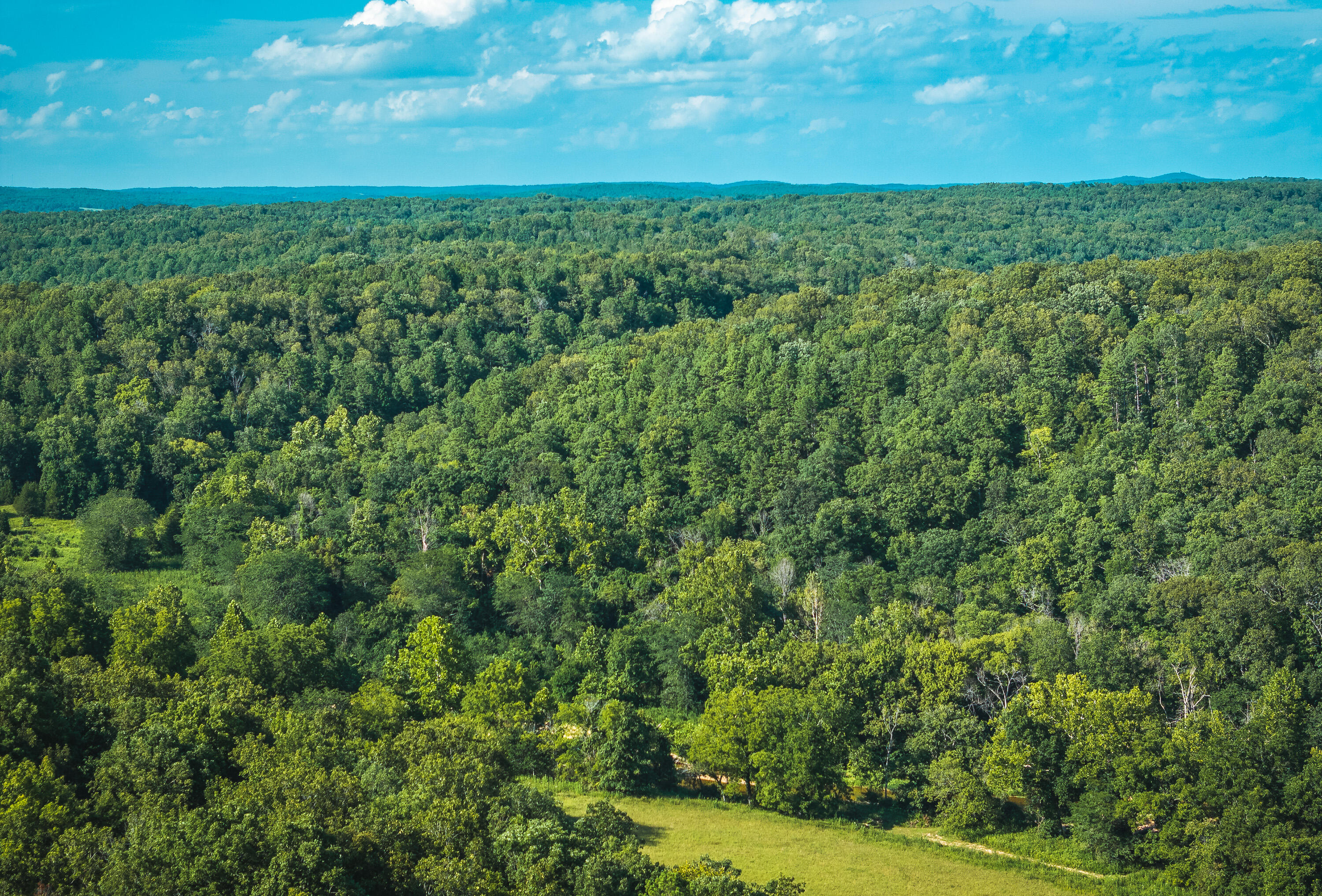 31085 County Road 346-a Road Property Photo 96