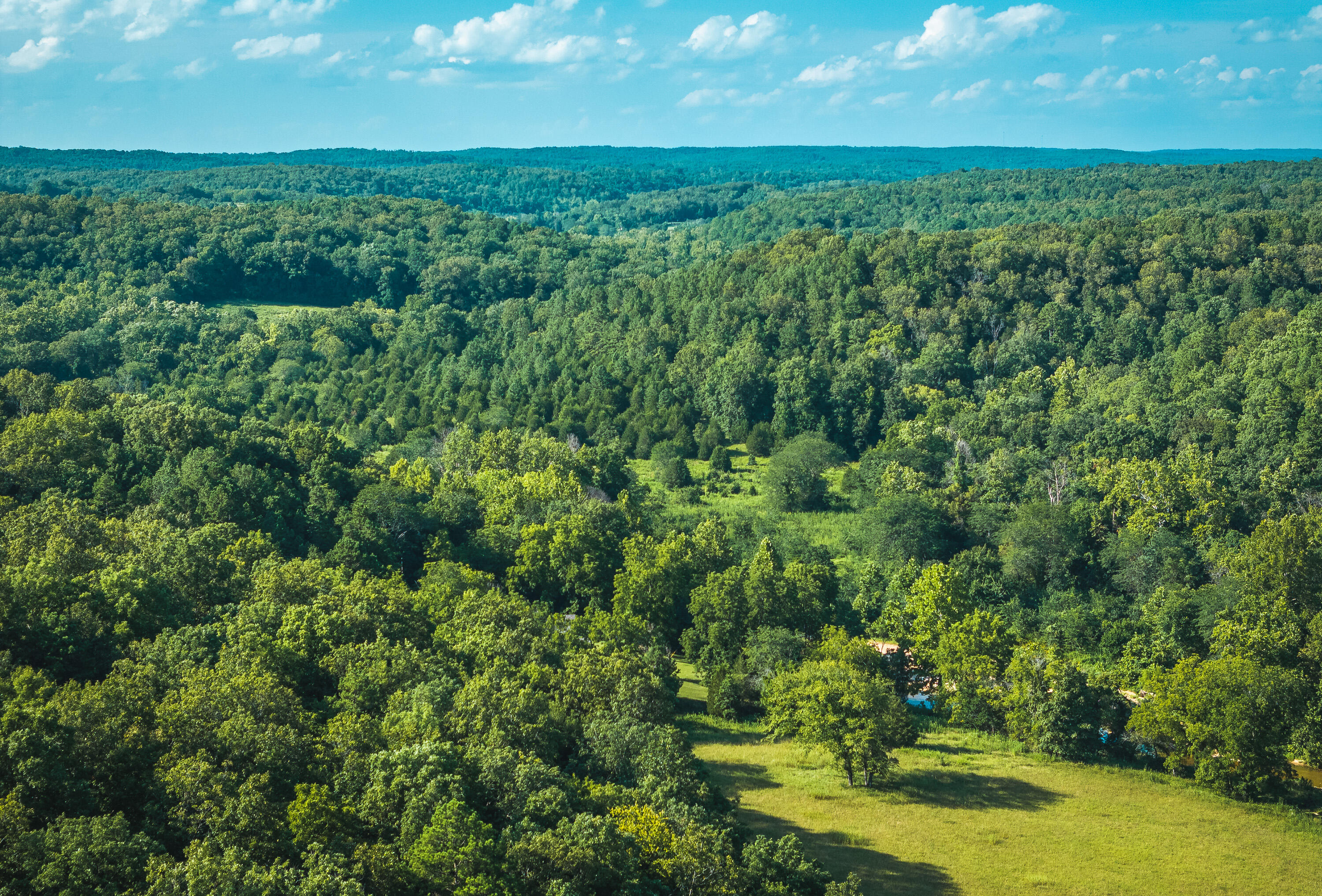 31085 County Road 346-a Road Property Photo 97