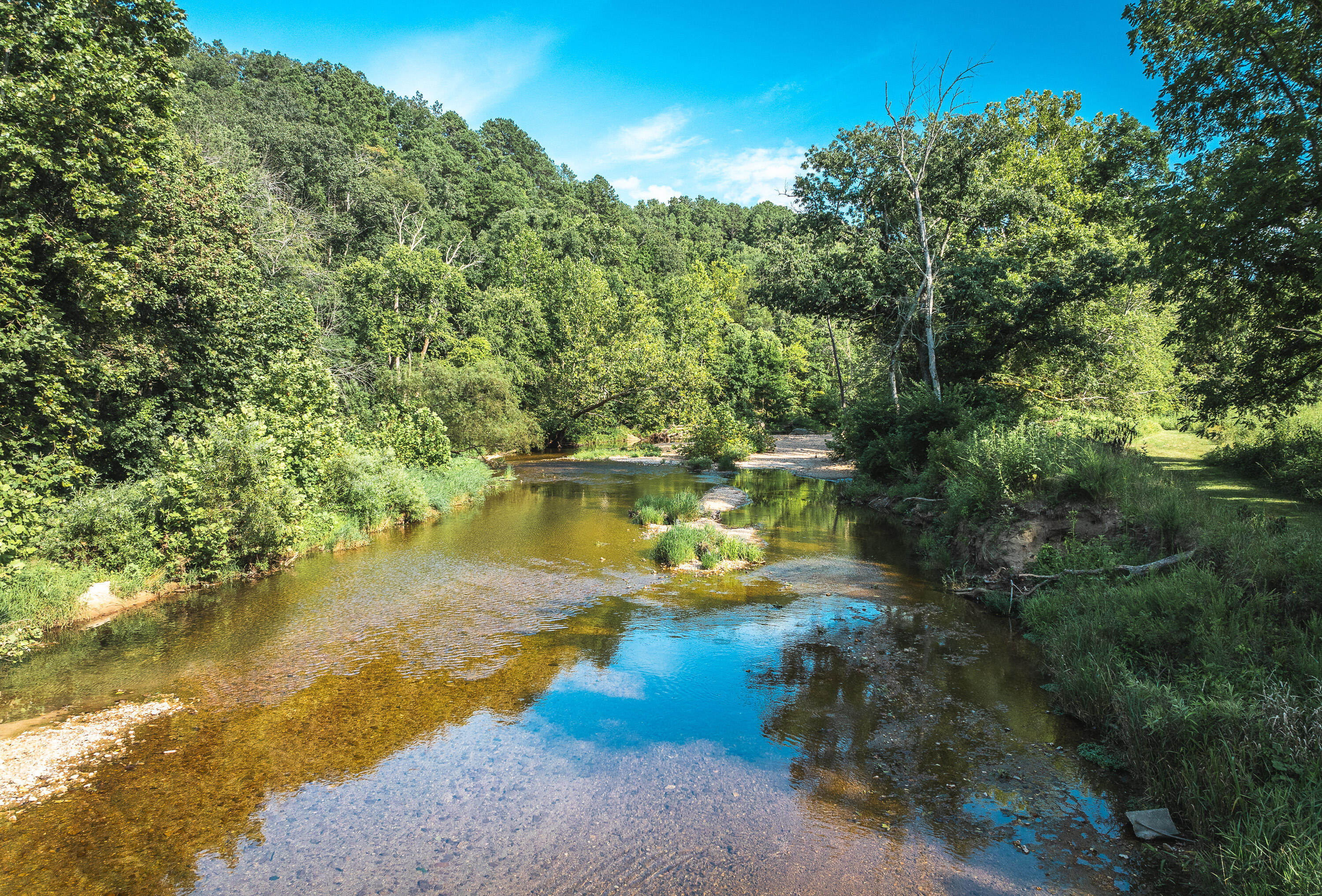 31085 County Road 346-a Road Property Photo 99