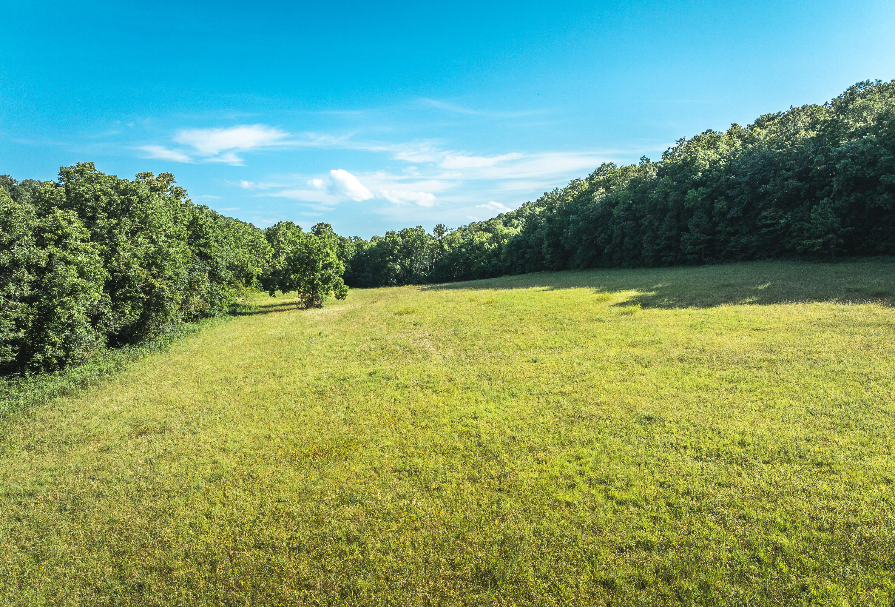 31085 County Road 346-a Road Property Photo 101