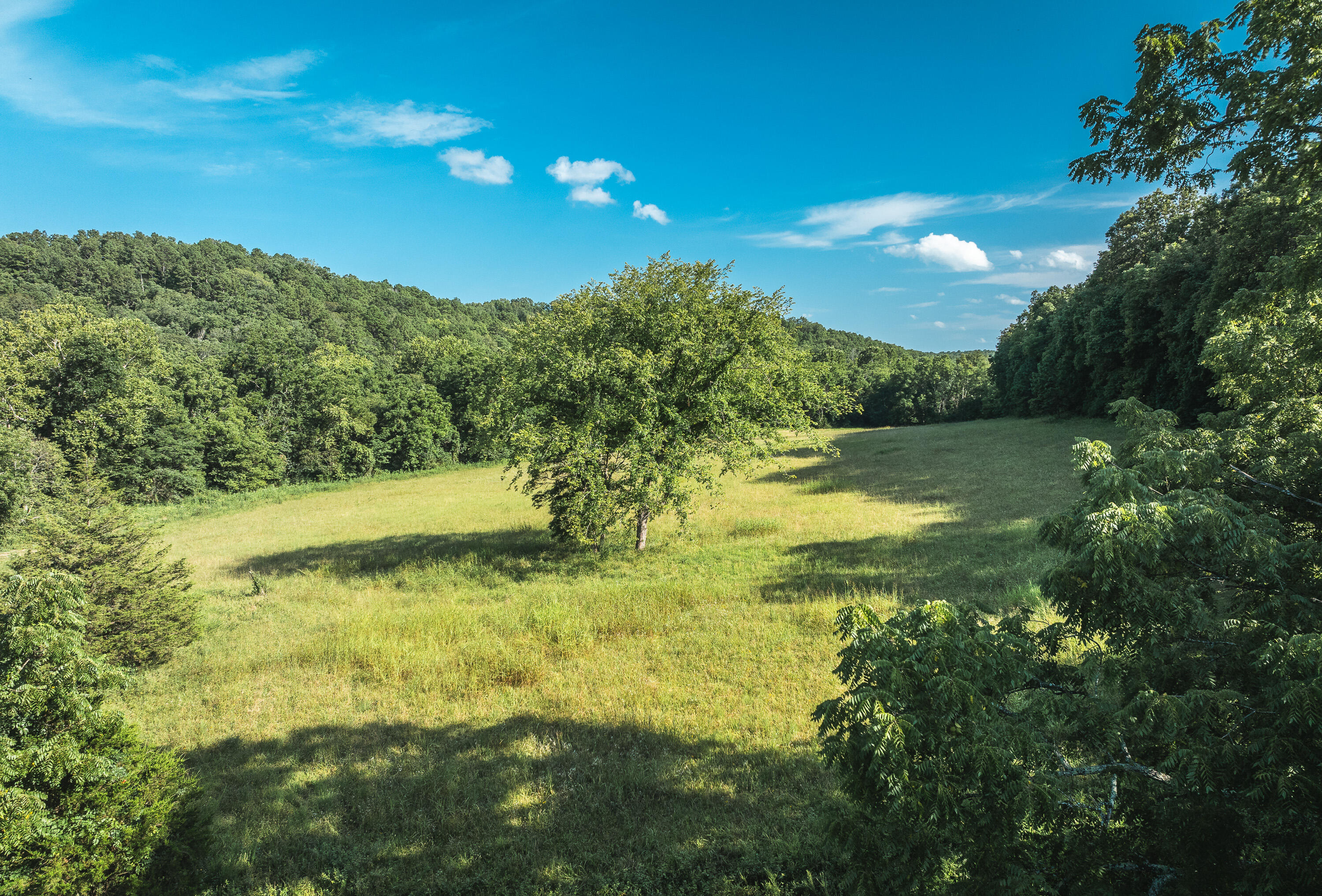 31085 County Road 346-a Road Property Photo 104